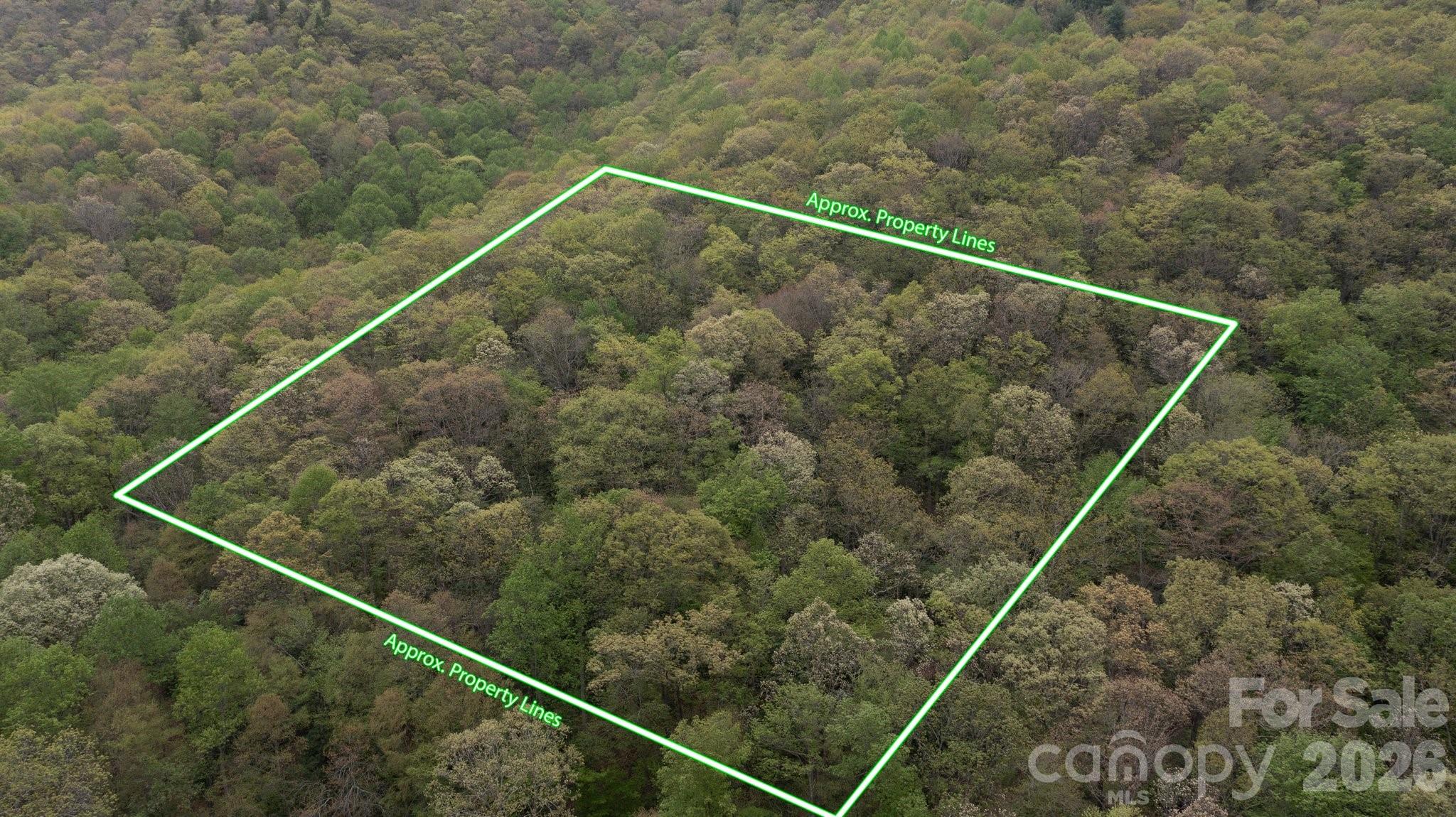 Lot lines approximate. Overhead view of Land behind 658 Clear Creek Rd in Burnsville - TBD Clear Creek Road, Burnsville