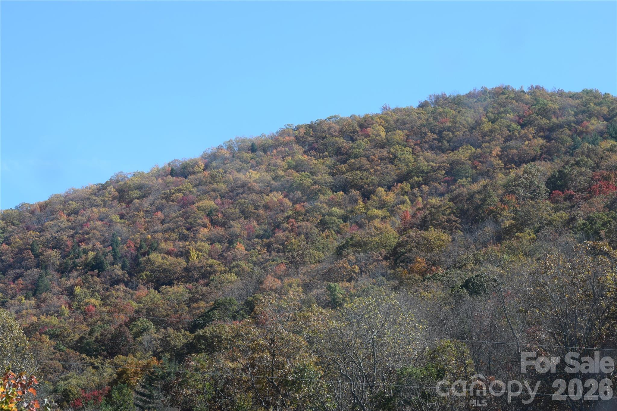 View from the property, Fall - TBD Clear Creek Road, Burnsville