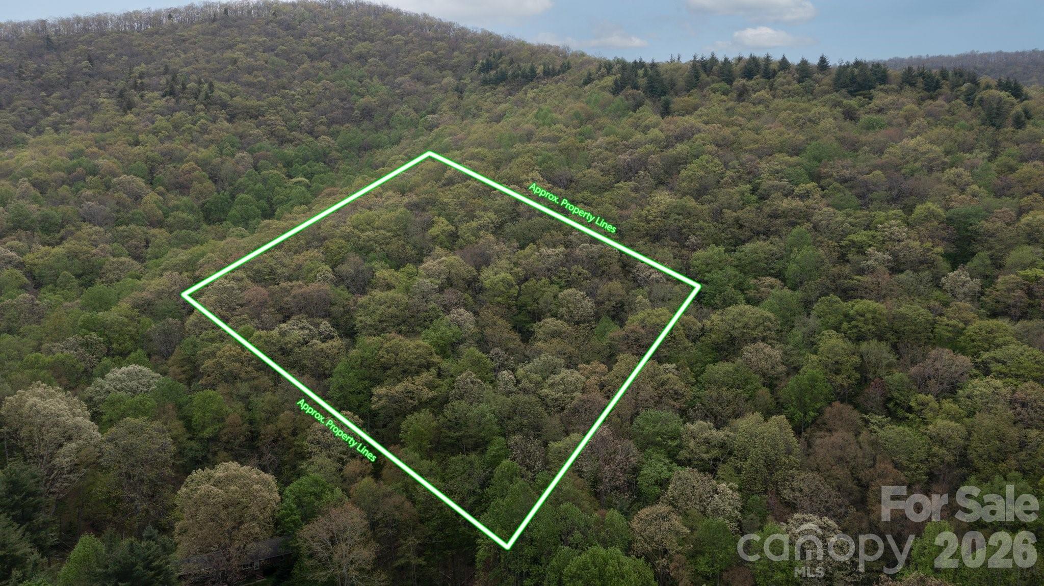 Approximate lot lines for land behind 658 Clear Creek Rd in Burnsville - TBD Clear Creek Road, Burnsville