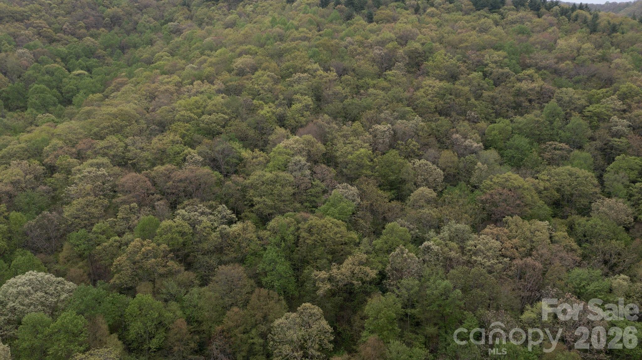 Overhead view of Land behind 658 Clear Creek Rd in Burnsville - TBD Clear Creek Road, Burnsville