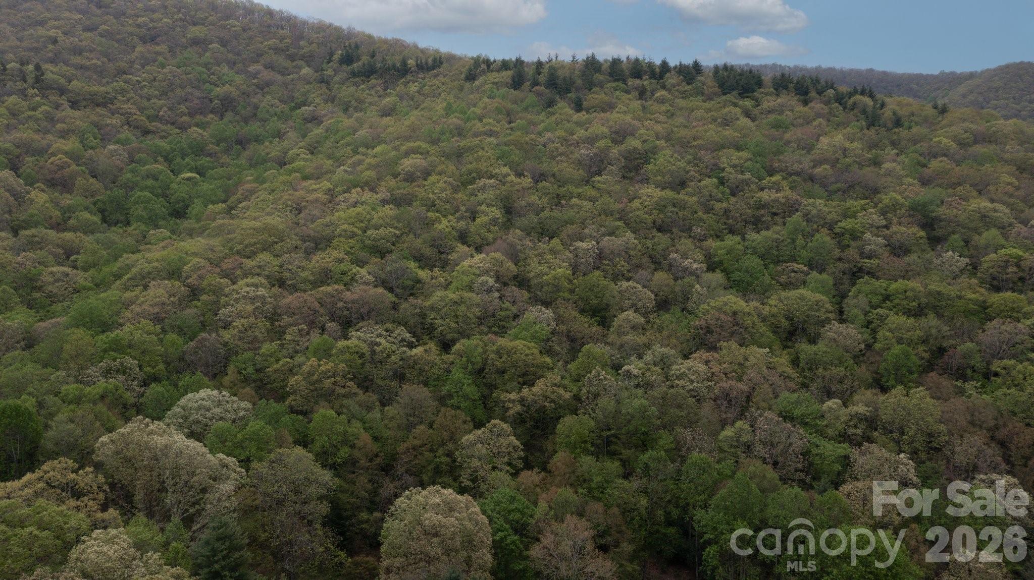 Overhead view of Land behind 658 Clear Creek Rd in Burnsville - TBD Clear Creek Road, Burnsville