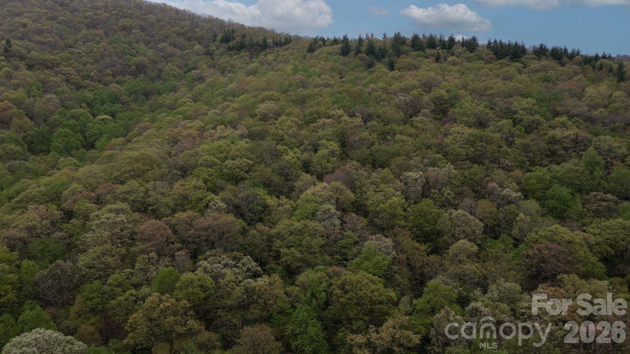 View from Land behind 658 Clear Creek Rd in Burnsville - TBD Clear Creek Road, Burnsville