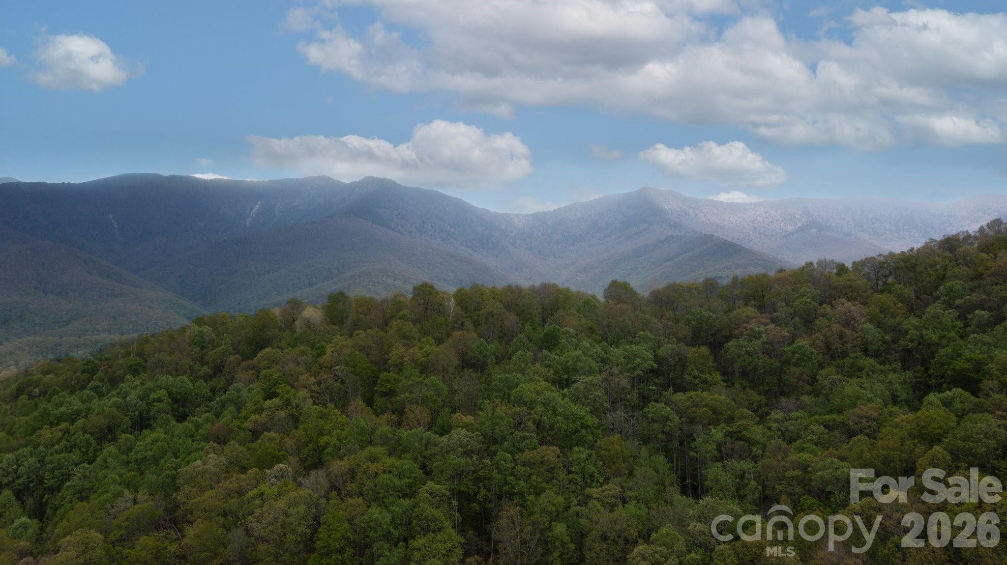View from Land behind 658 Clear Creek Rd in Burnsville - TBD Clear Creek Road, Burnsville