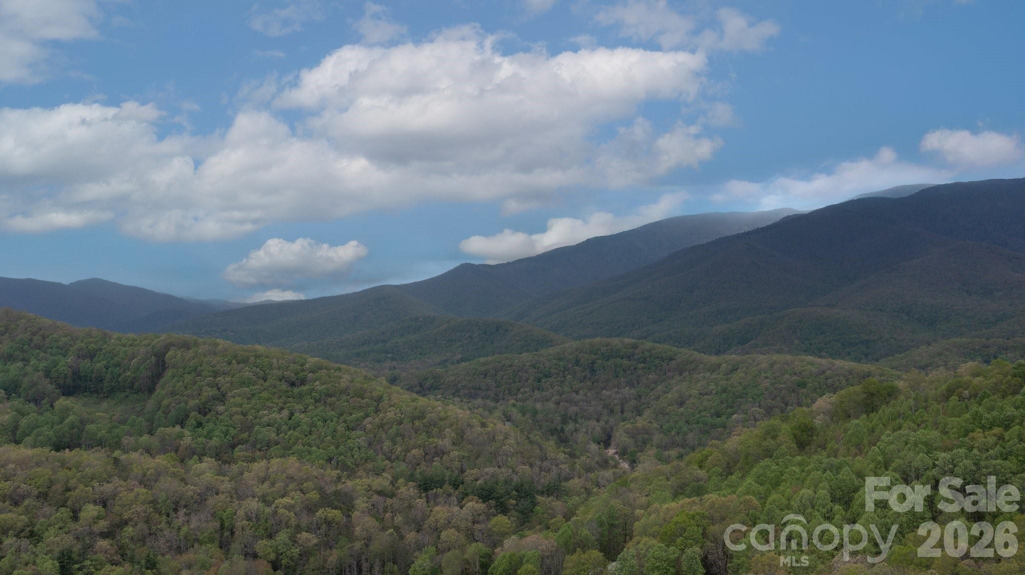 View from Land behind 658 Clear Creek Rd in Burnsville - TBD Clear Creek Road, Burnsville