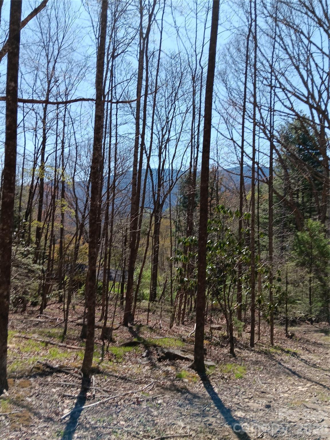 View from Lot behind 658 Clear Creek Rd in Burnsville (winter) - TBD Clear Creek Road, Burnsville