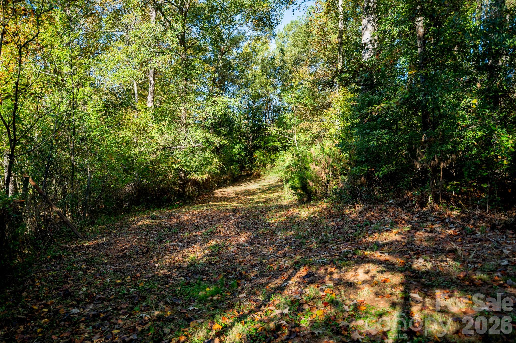 Back yard - 838 Sandy Run Church Road, Mooresboro