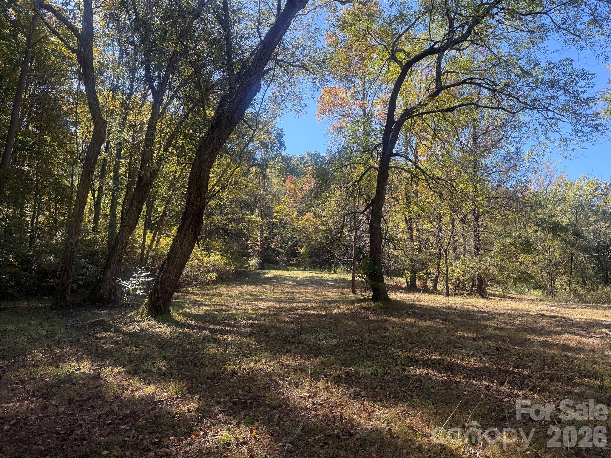 Lower portion of property from Meadows Station Dr - 00 Meadows Station Drive, Nebo