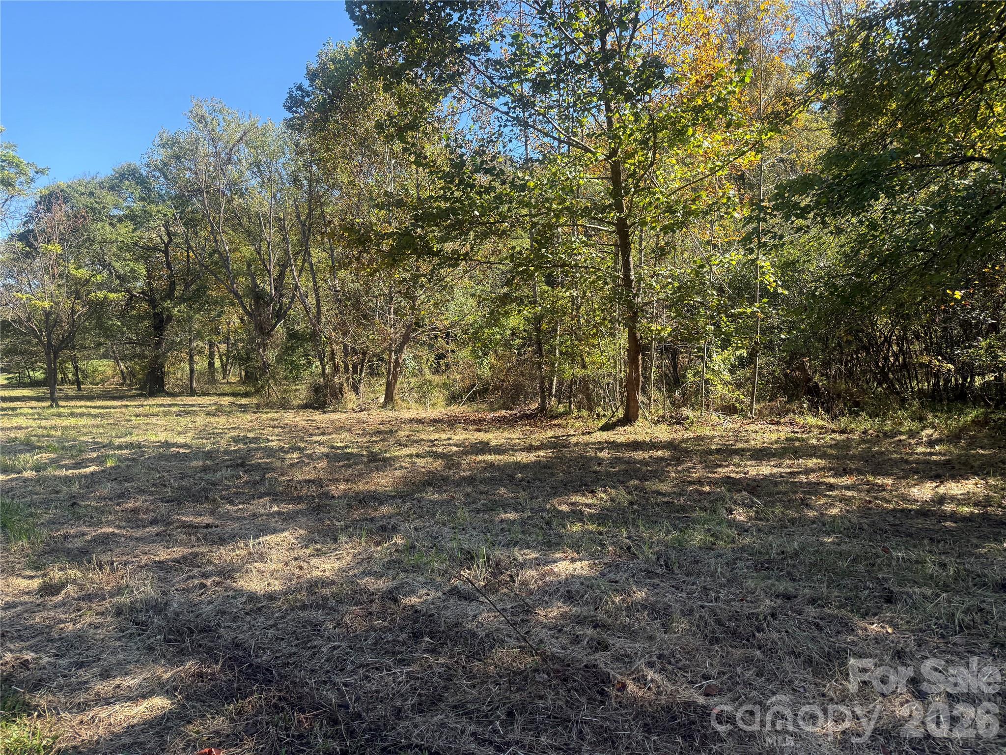 Lower portion of property from Meadows Station Dr - 00 Meadows Station Drive, Nebo