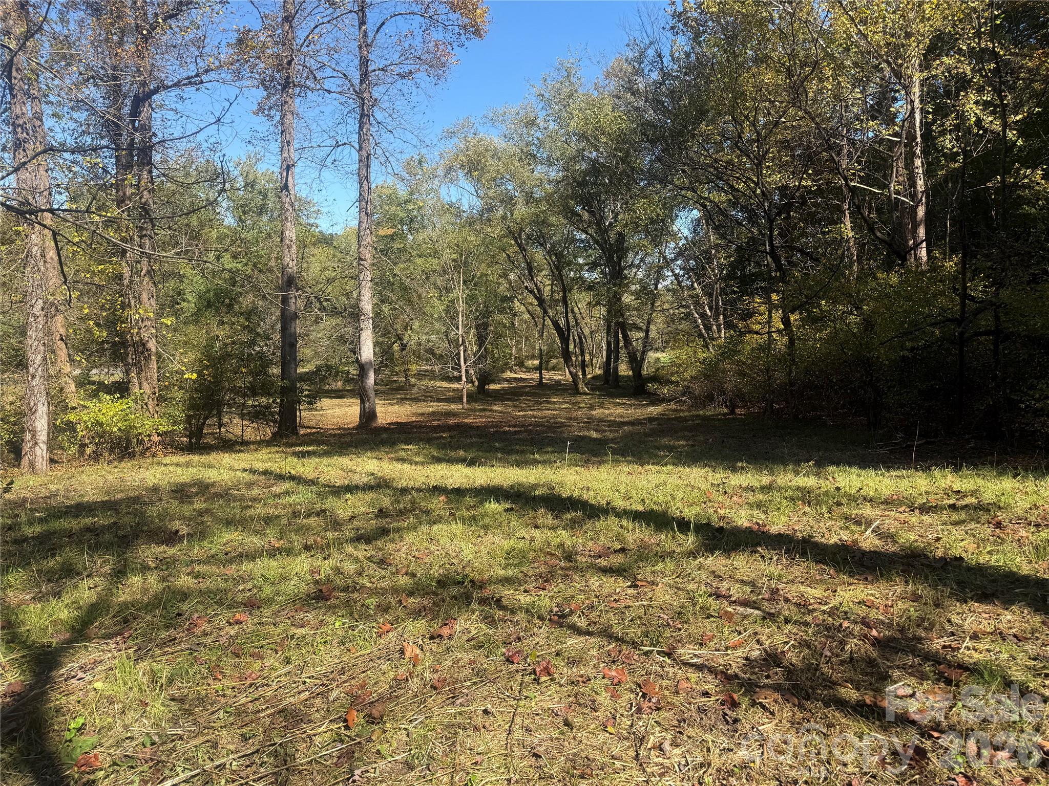 Lower portion of property from Meadows Station Dr - 00 Meadows Station Drive, Nebo