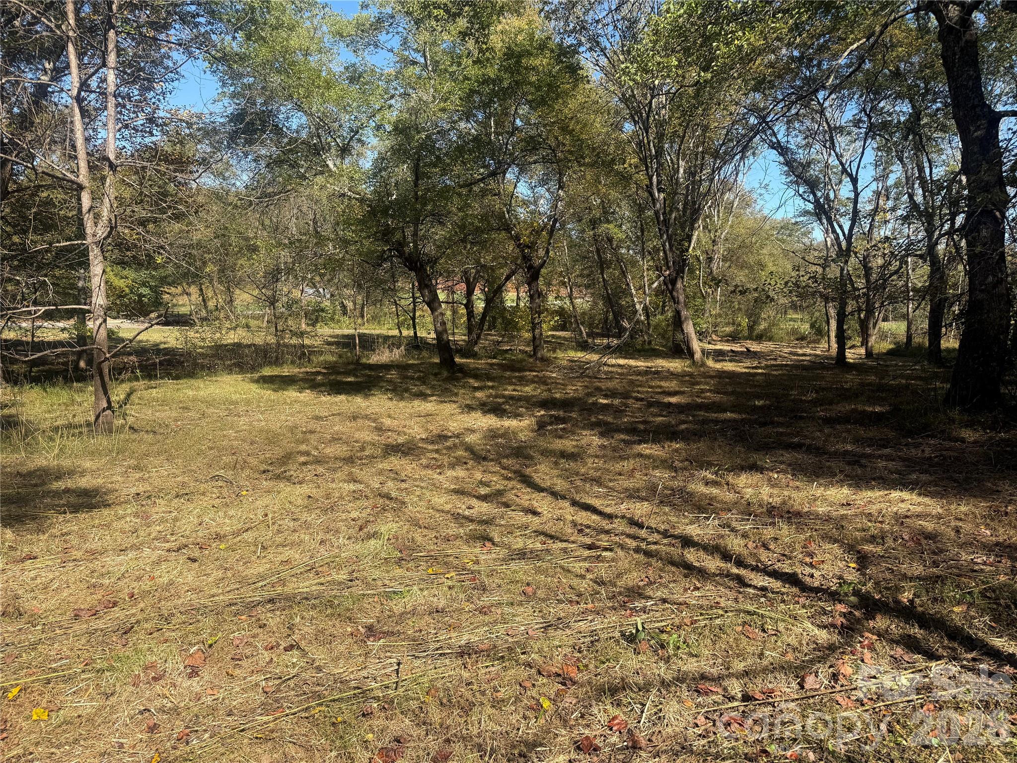 Lower portion of property from Meadows Station Dr - 00 Meadows Station Drive, Nebo