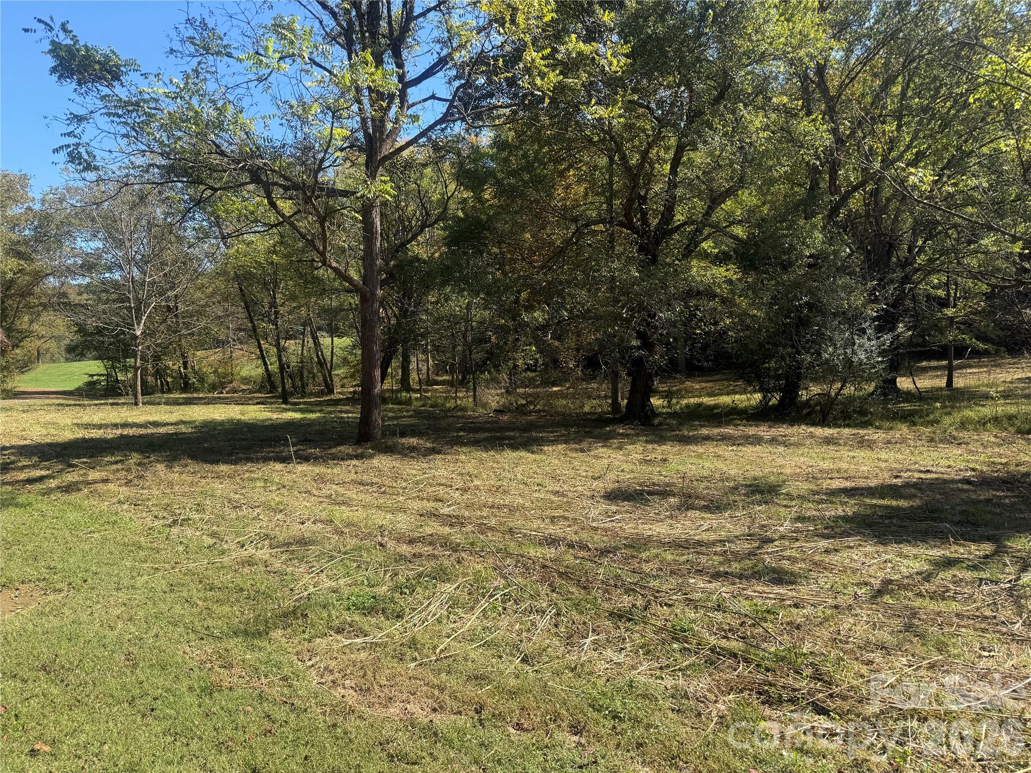 Lower portion of property from Meadows Station Dr - 00 Meadows Station Drive, Nebo
