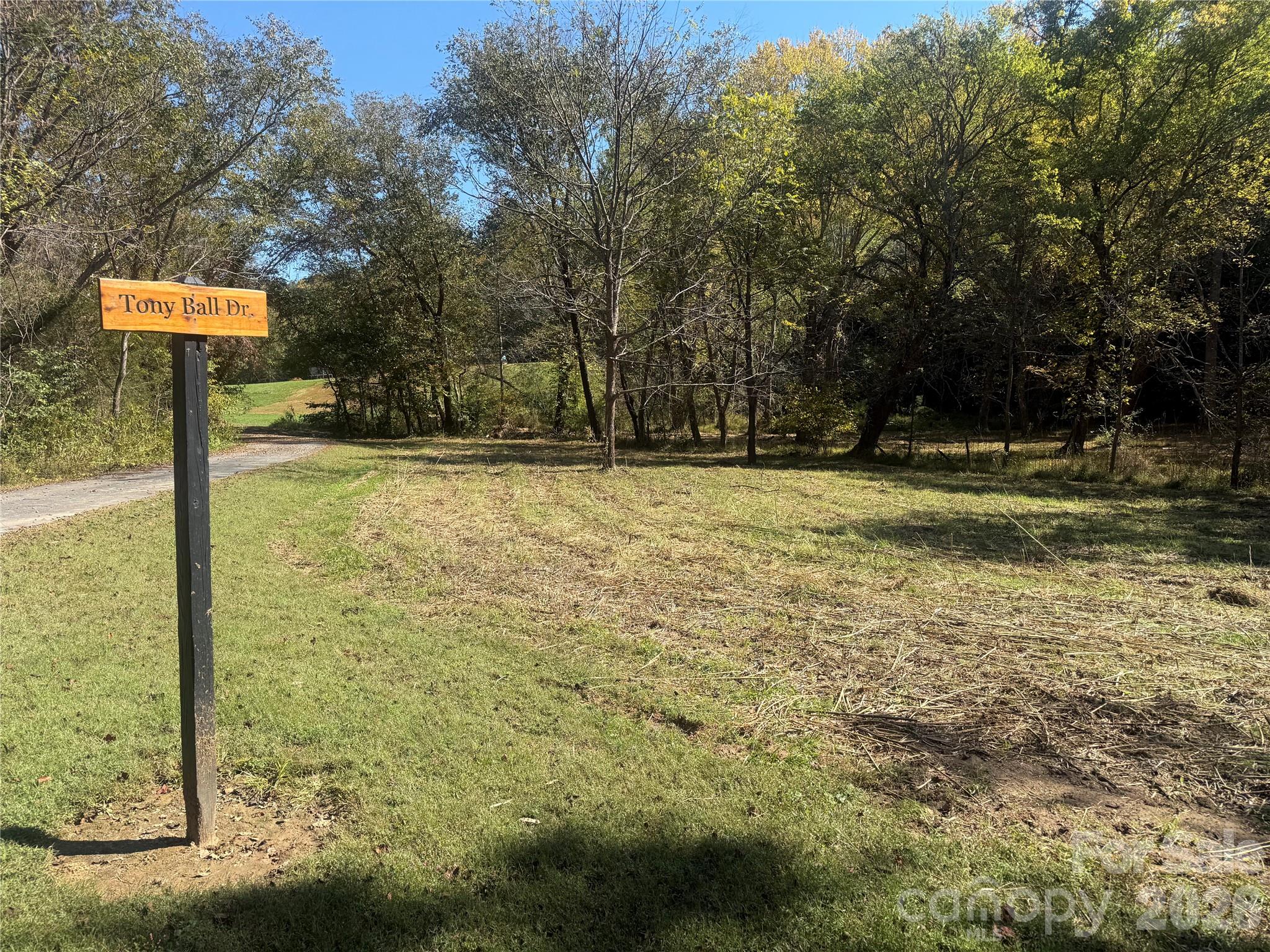 Lower portion of property from Meadows Station Dr - 00 Meadows Station Drive, Nebo