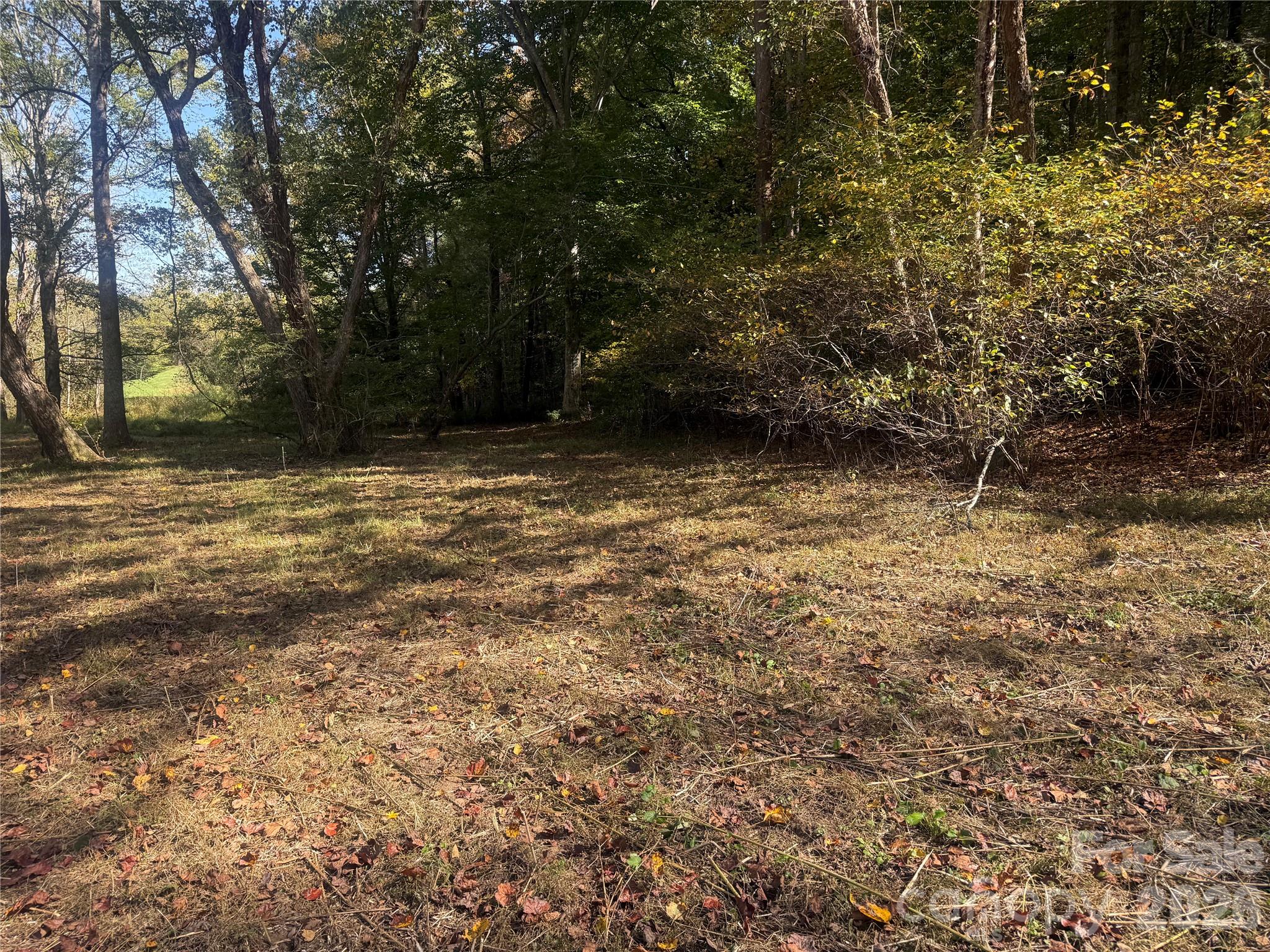 Lower portion of property from Meadows Station Dr - 00 Meadows Station Drive, Nebo