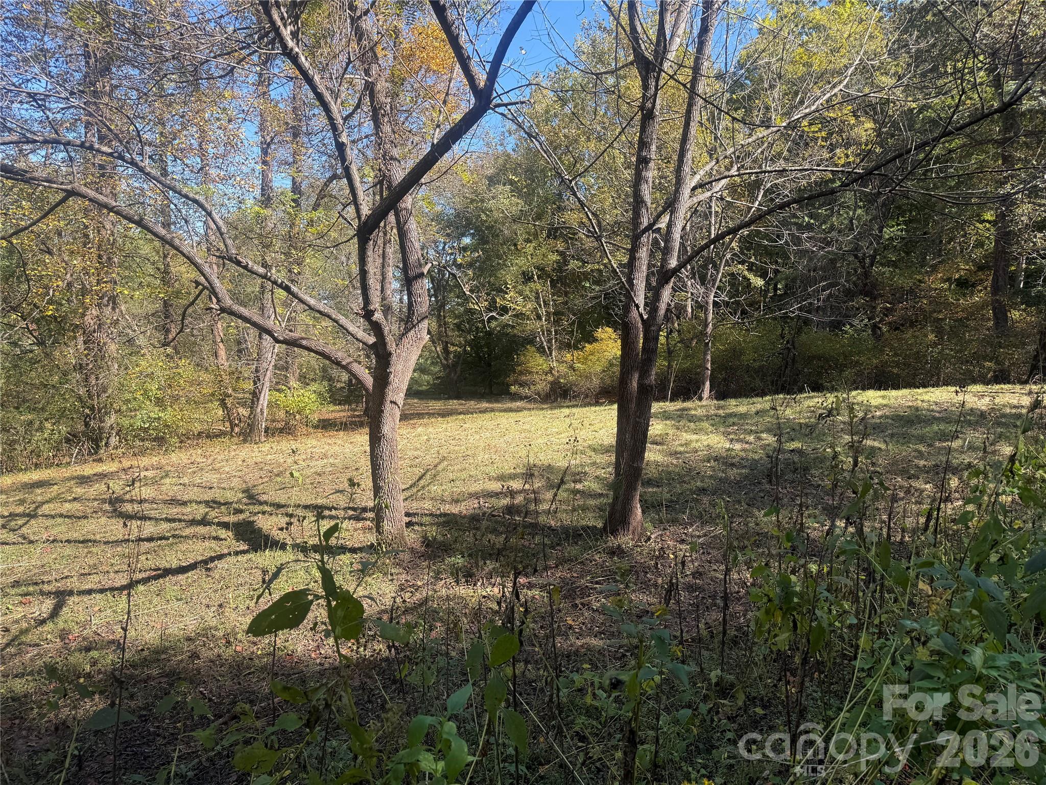 Lower portion of property from Meadows Station Dr - 00 Meadows Station Drive, Nebo