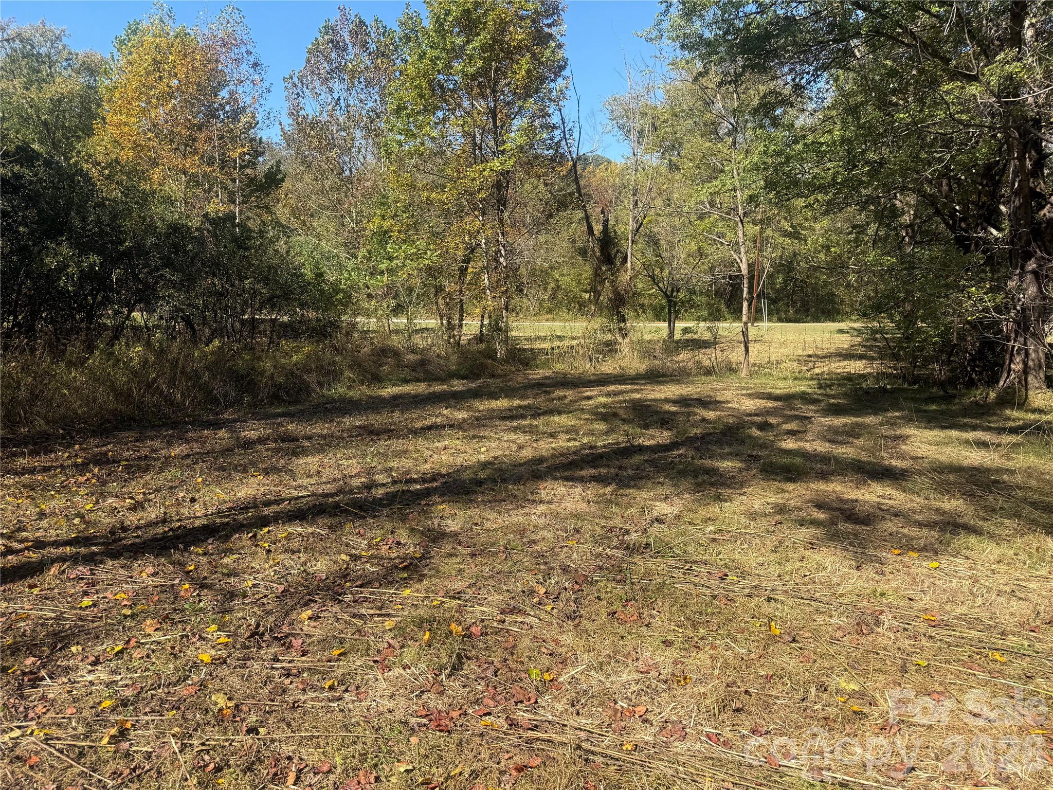 Lower portion of property from Meadows Station Dr - 00 Meadows Station Drive, Nebo