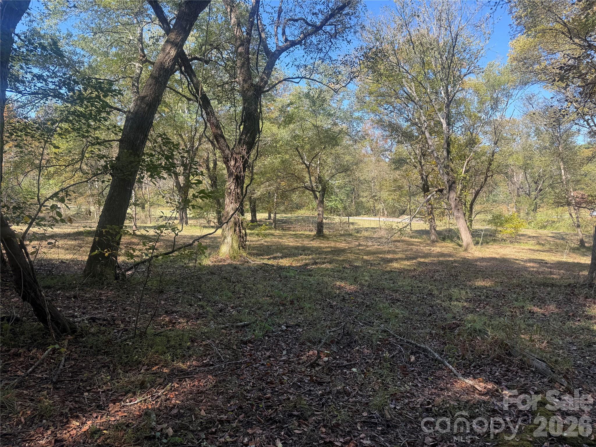 Lower portion of property from Meadows Station Dr - 00 Meadows Station Drive, Nebo