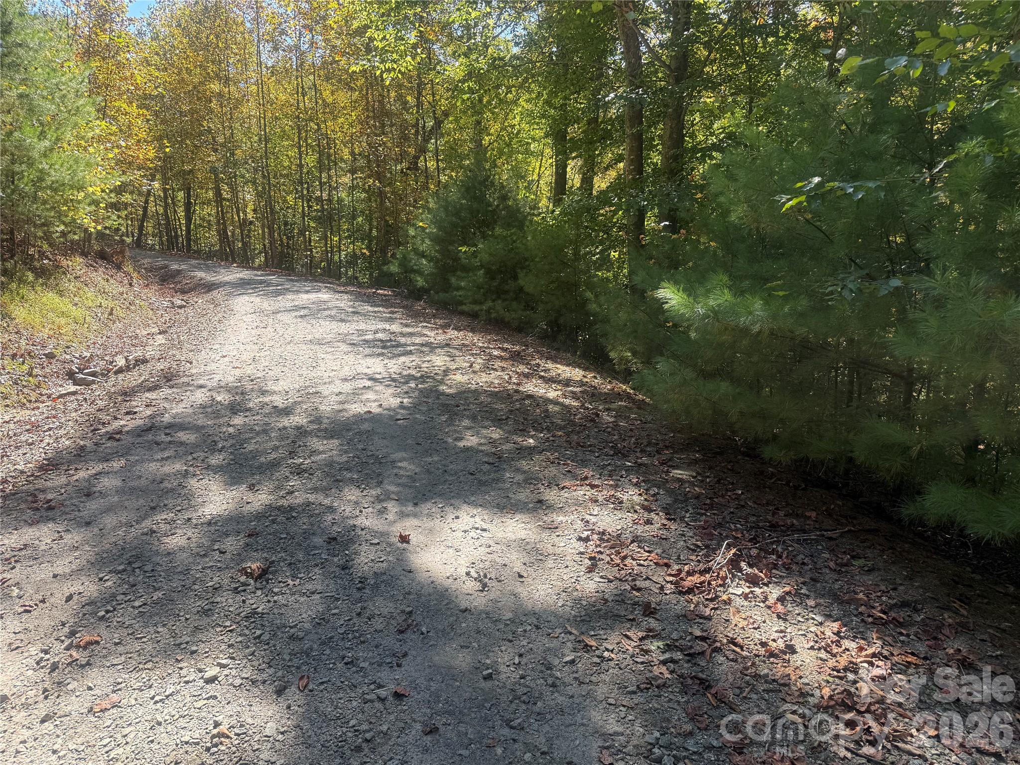upper portion of property from Theresa Terrace - 00 Meadows Station Drive, Nebo