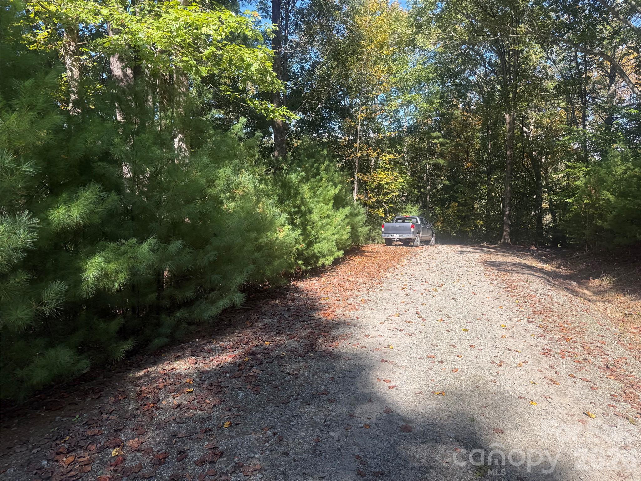 upper portion of property from Theresa Terrace - 00 Meadows Station Drive, Nebo