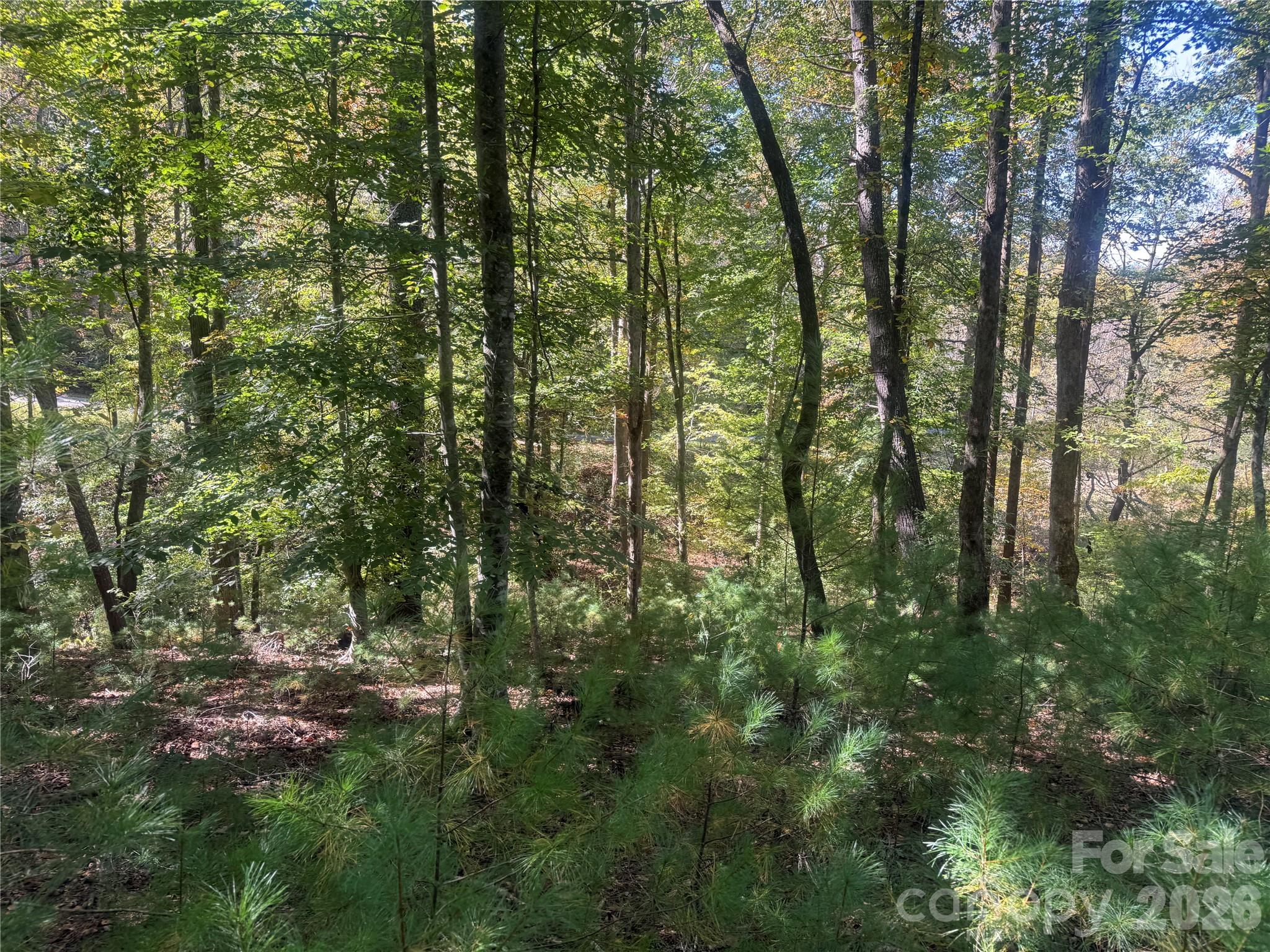 upper portion of property from Theresa Terrace - 00 Meadows Station Drive, Nebo