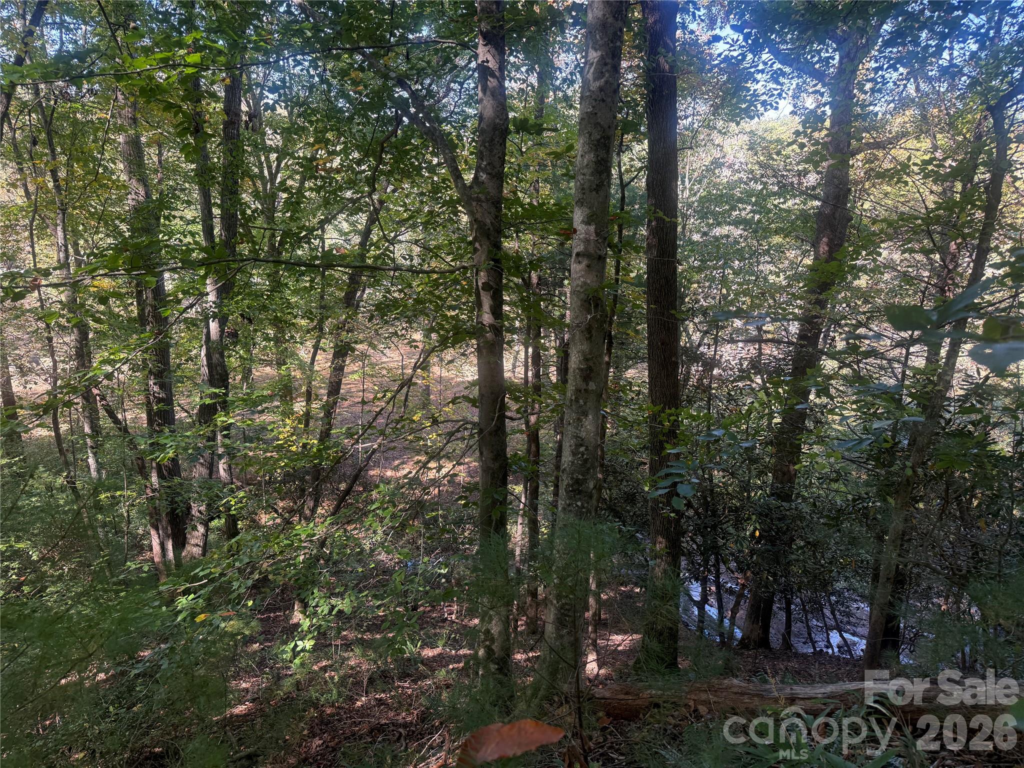 upper portion of property from Theresa Terrace - 00 Meadows Station Drive, Nebo