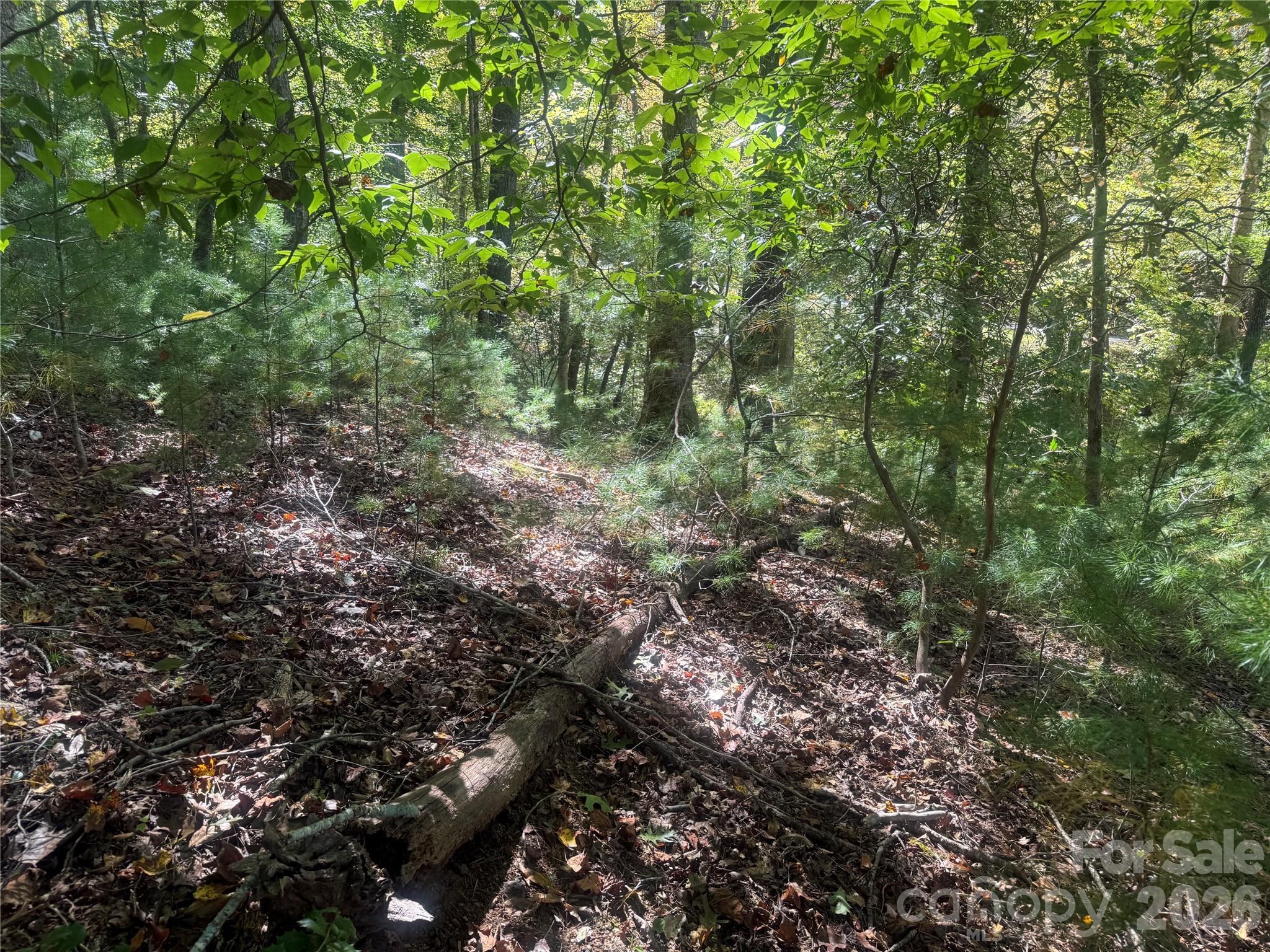 upper portion of property from Theresa Terrace - 00 Meadows Station Drive, Nebo