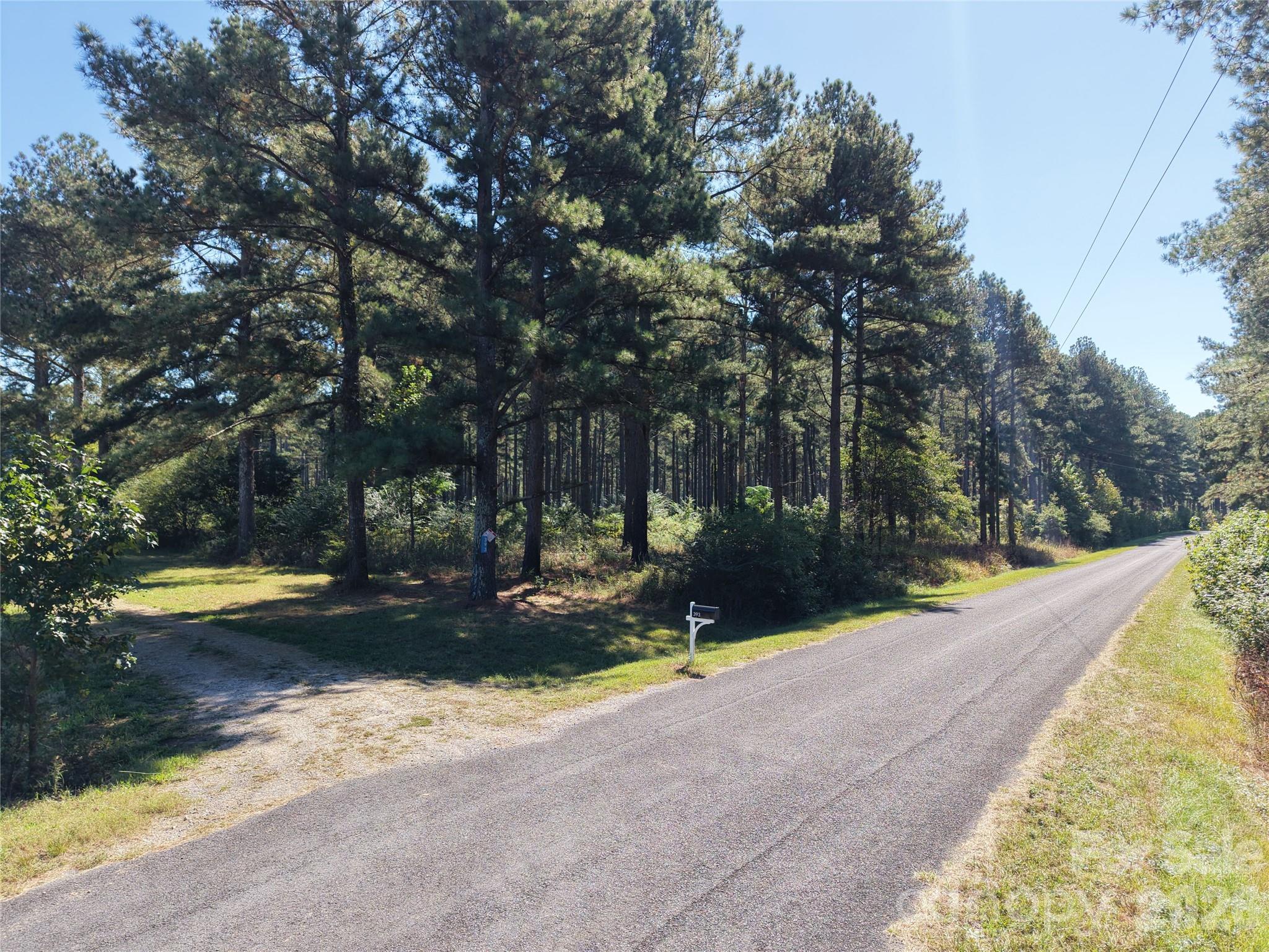 Farm at 393 Red Hill Road, Wadesboro, photo 4 of 48