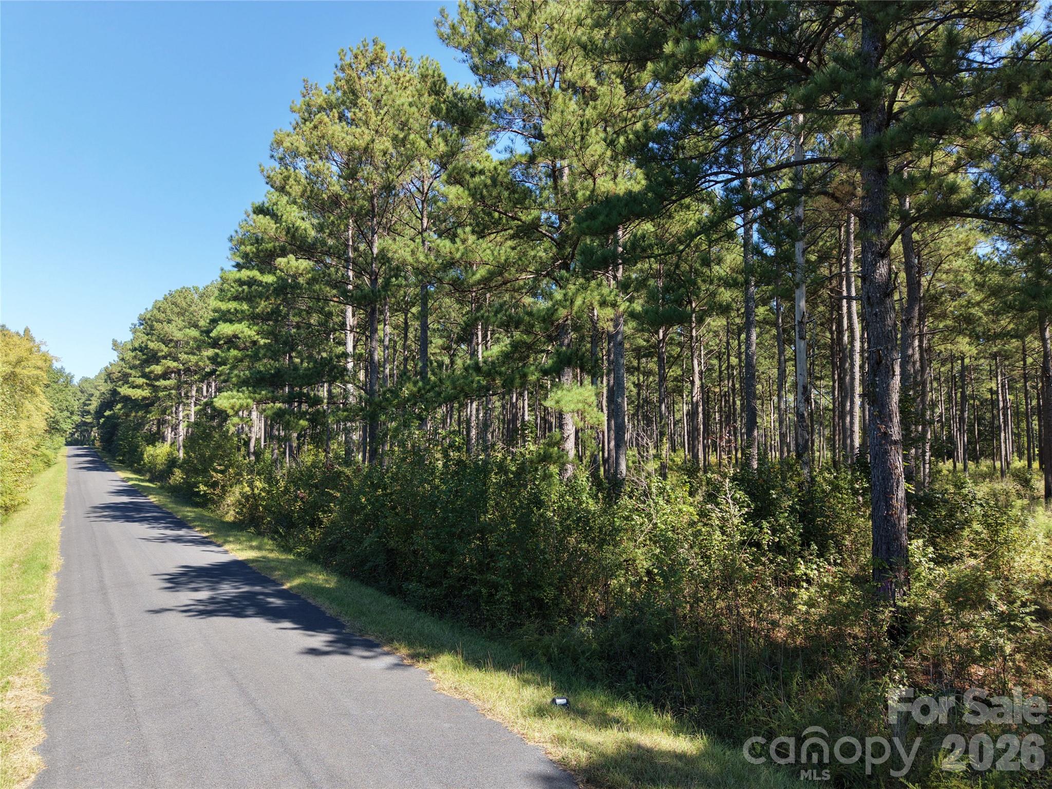 Farm at 393 Red Hill Road, Wadesboro, photo 5 of 48