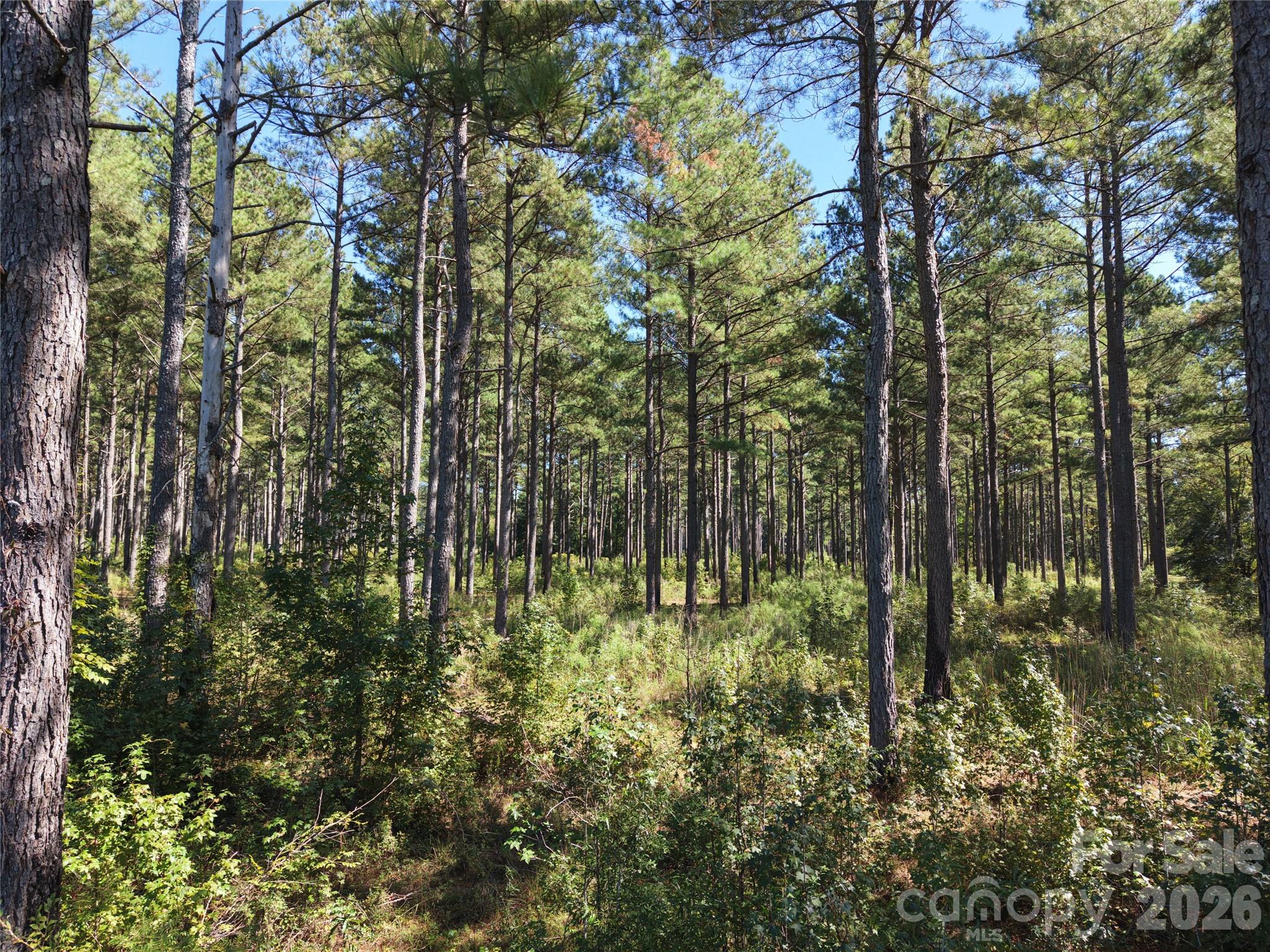 Farm at 393 Red Hill Road, Wadesboro, photo 6 of 48