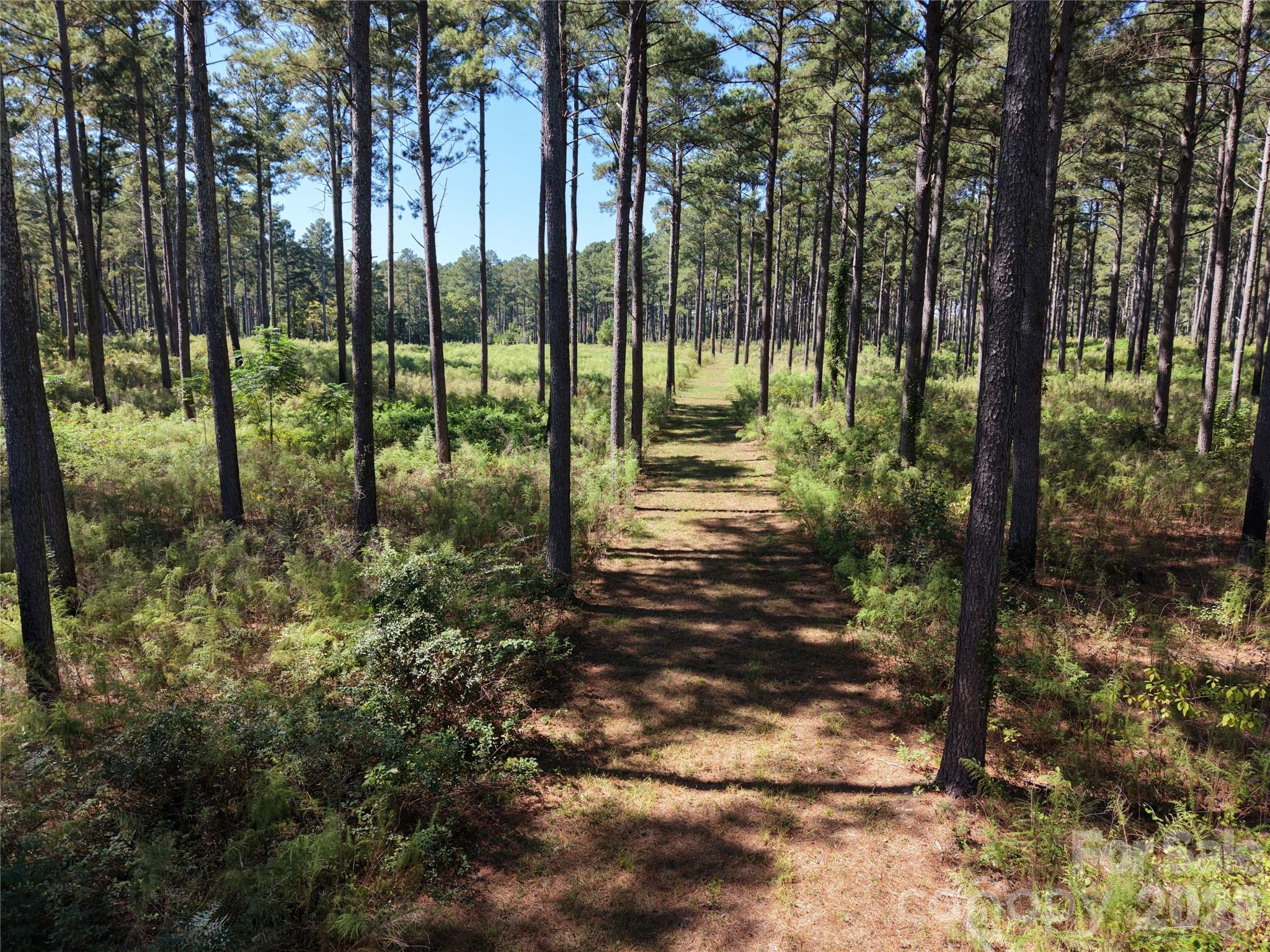 Farm at 393 Red Hill Road, Wadesboro, photo 31 of 48