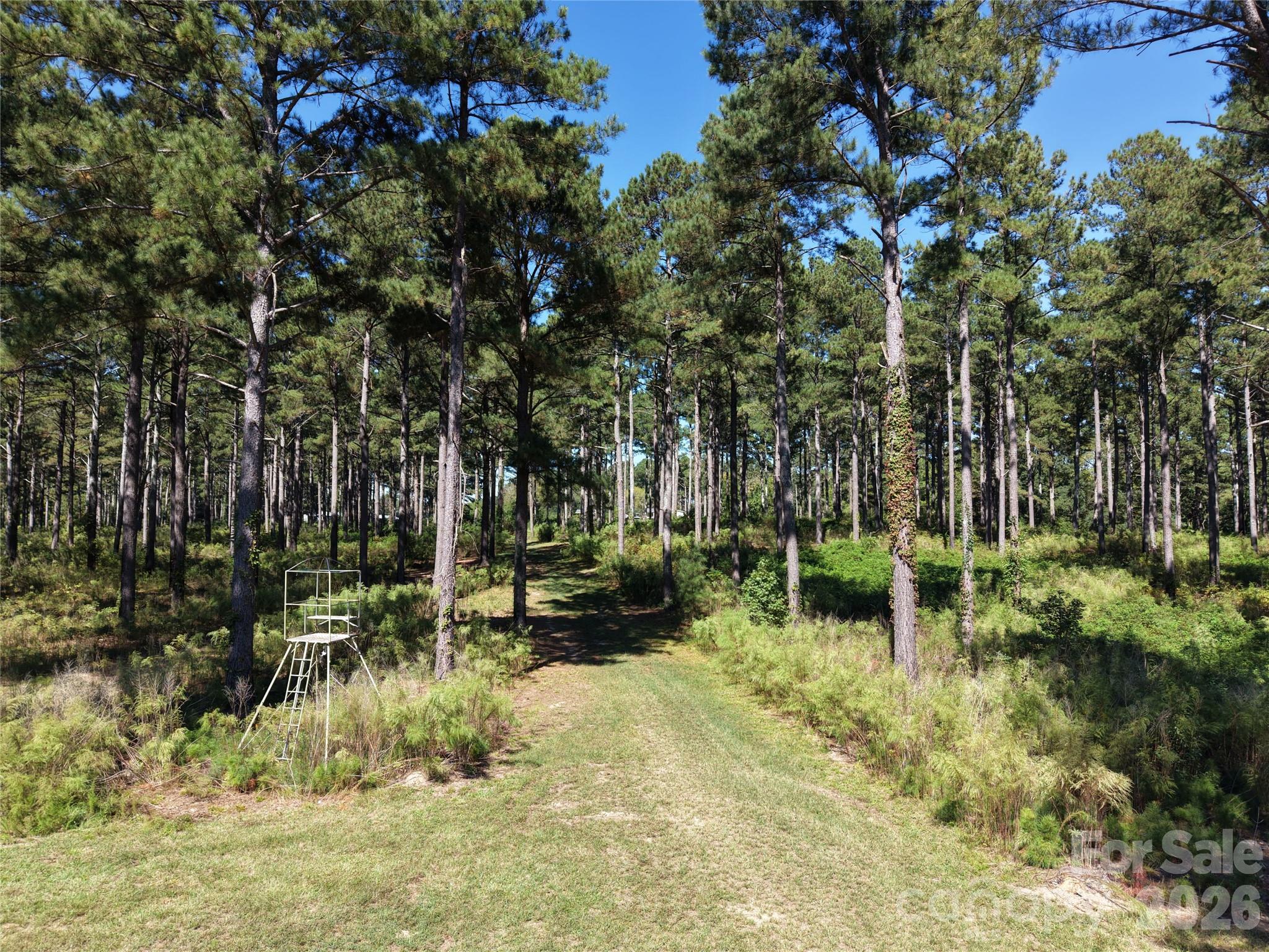 Farm at 393 Red Hill Road, Wadesboro, photo 34 of 48