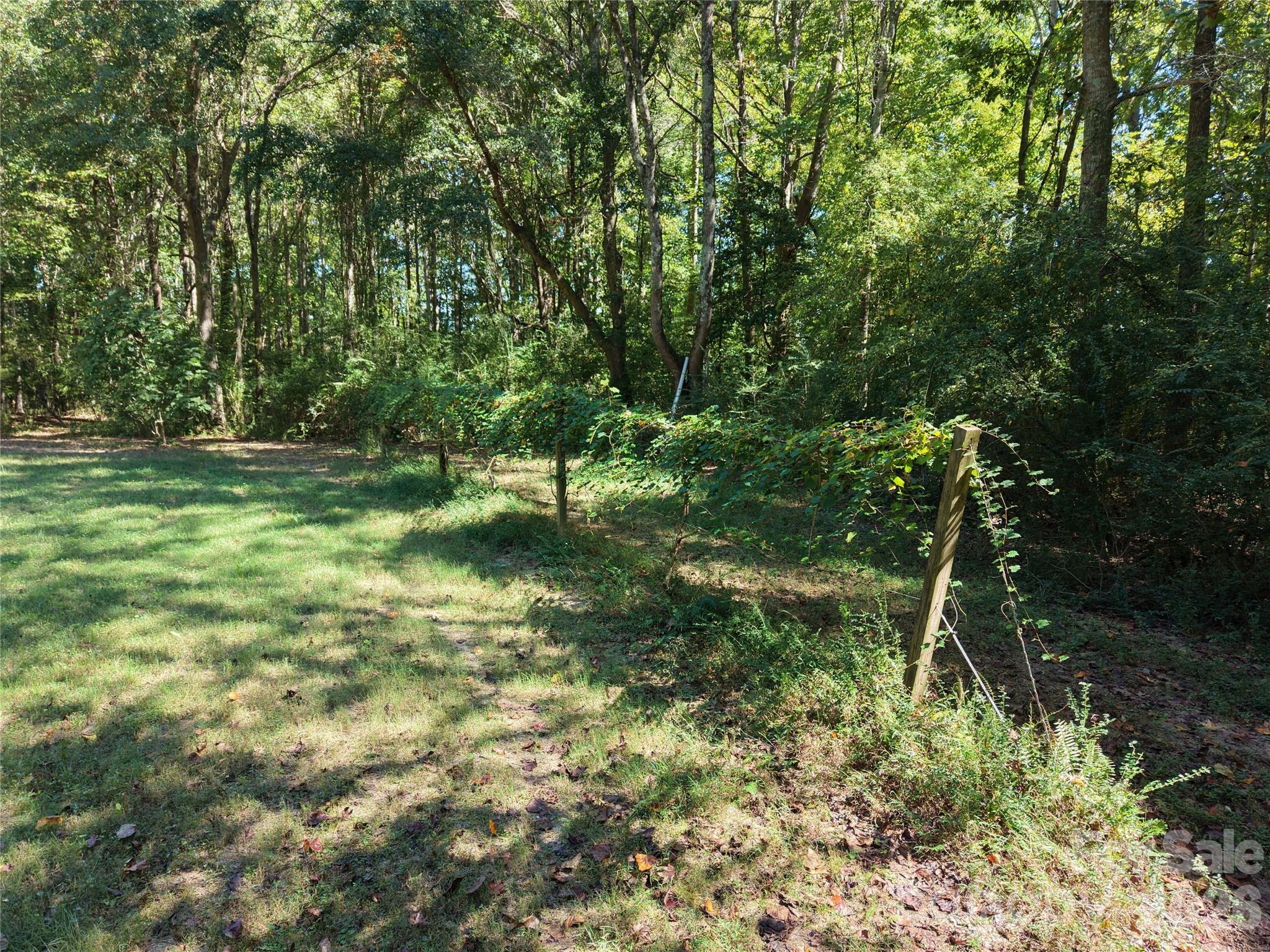 Farm at 393 Red Hill Road, Wadesboro, photo 39 of 48