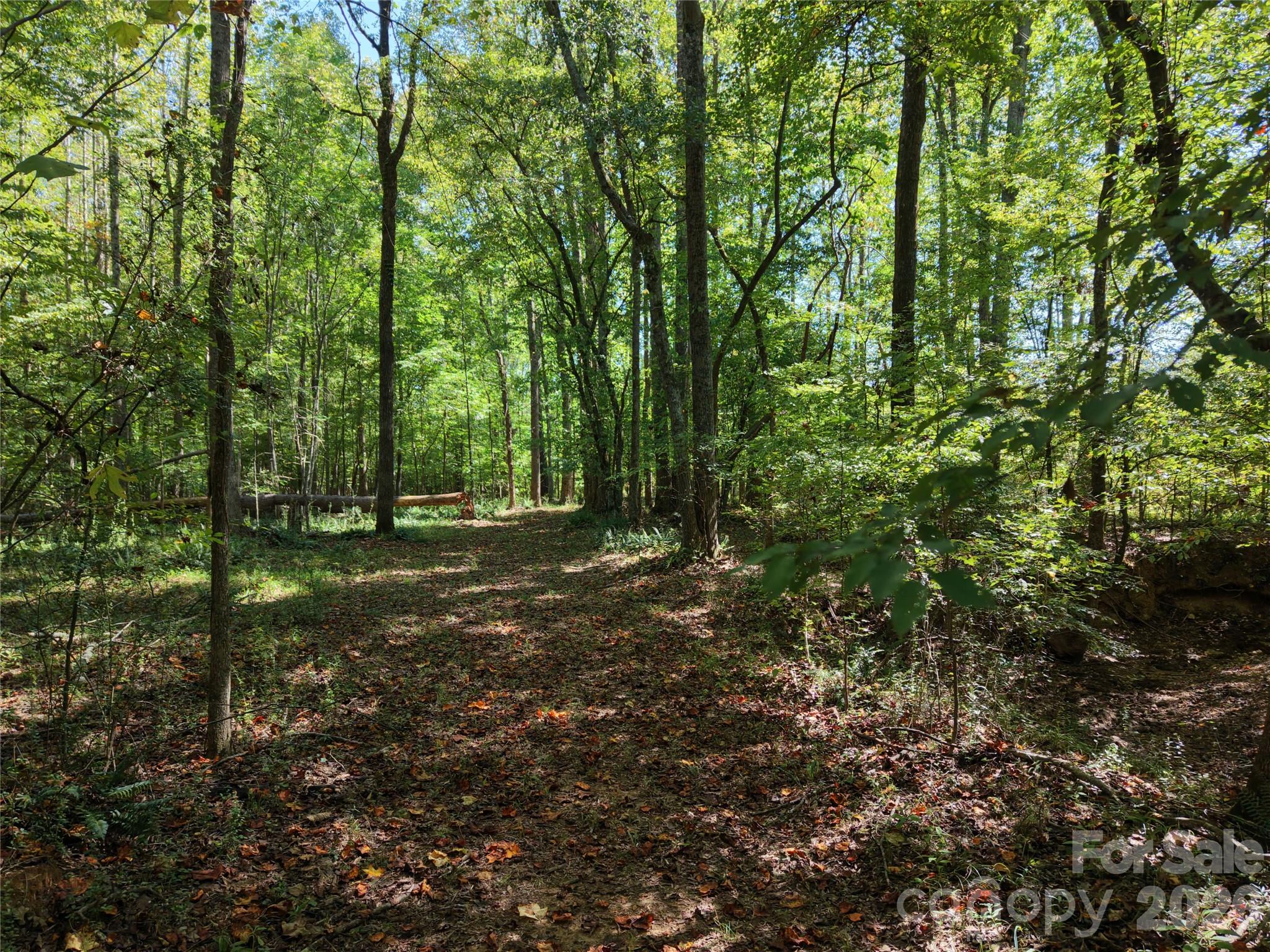 Farm at 393 Red Hill Road, Wadesboro, photo 40 of 48