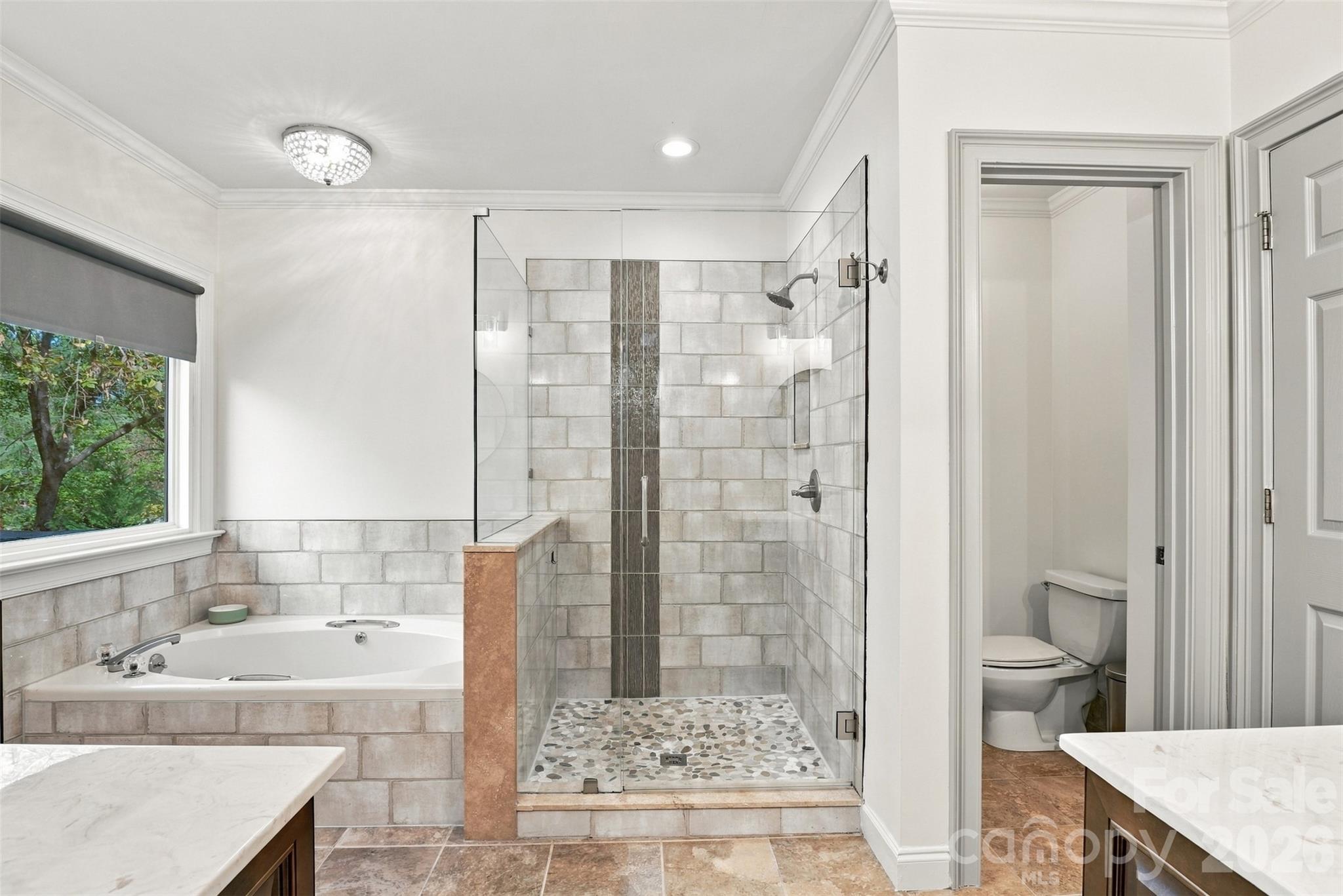 Single Family Residence at 223 N Brackenbury Lane, Charlotte, photo 33 of 49