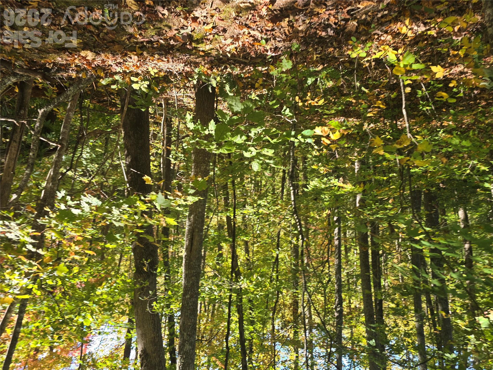 Lot at 98 Hosta Drive, Sylva, photo 4 of 13