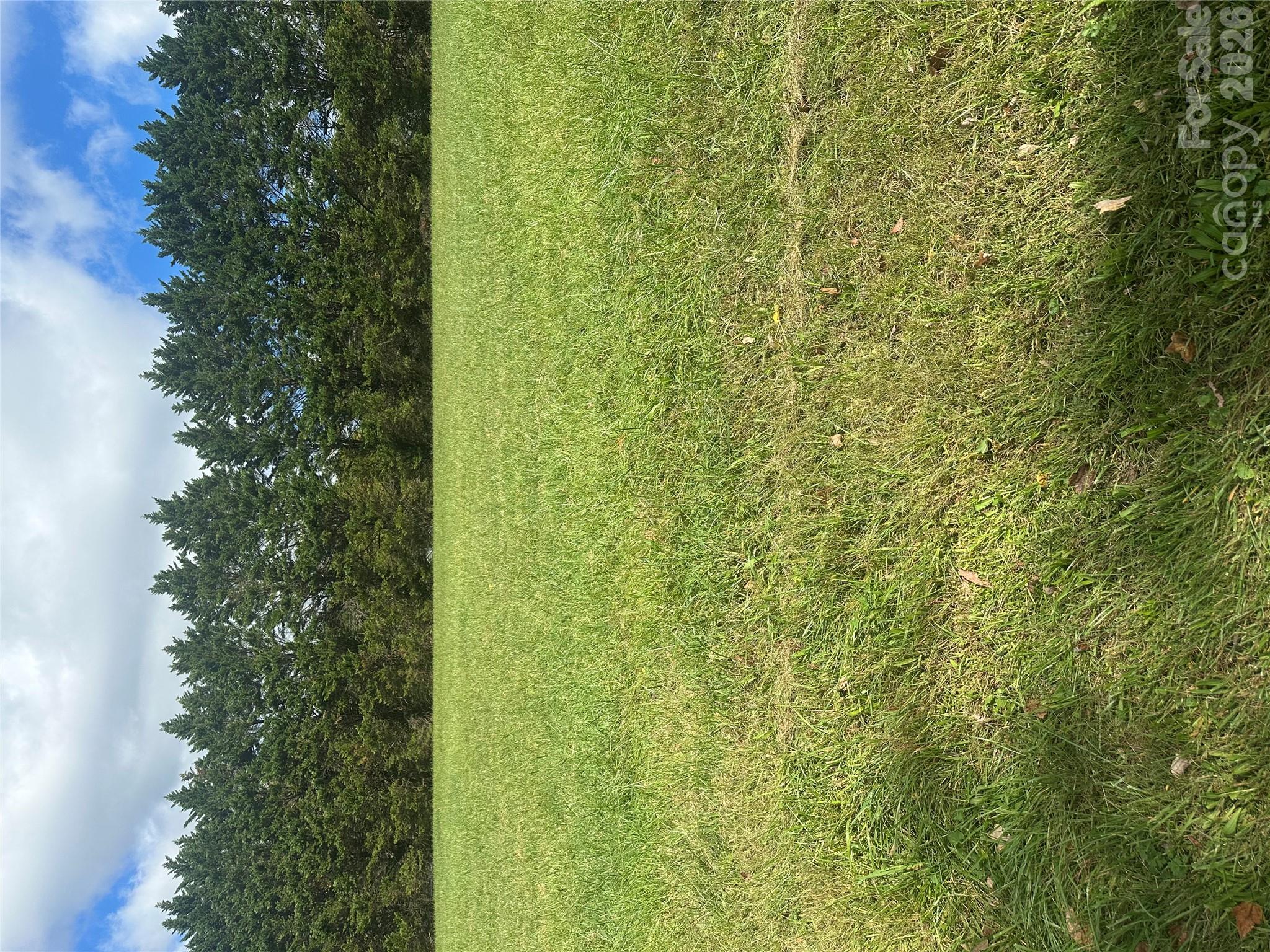 Lot 103 Parson Lane