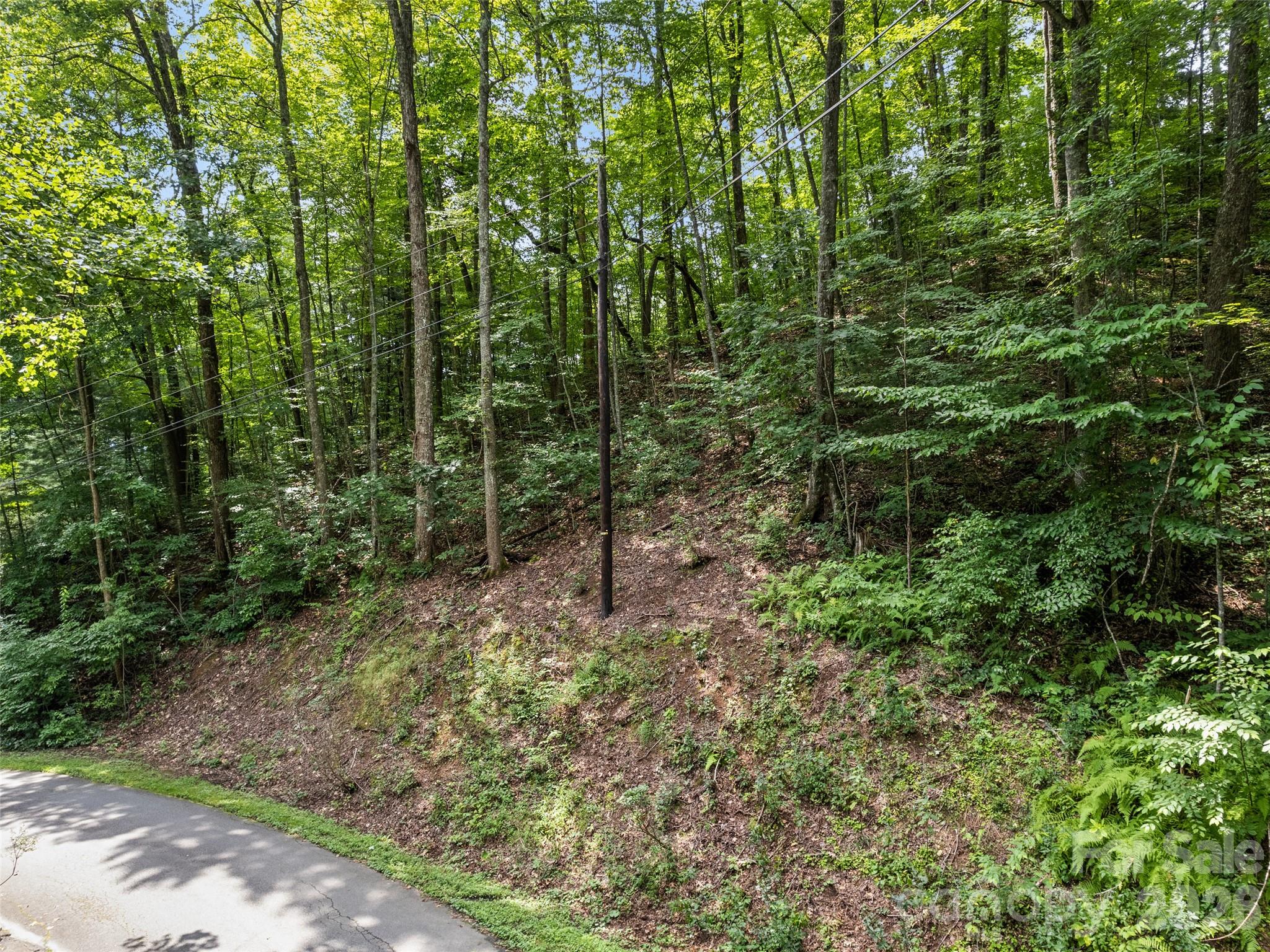Lot at #16 Sherman Way, Waynesville, photo 2 of 19