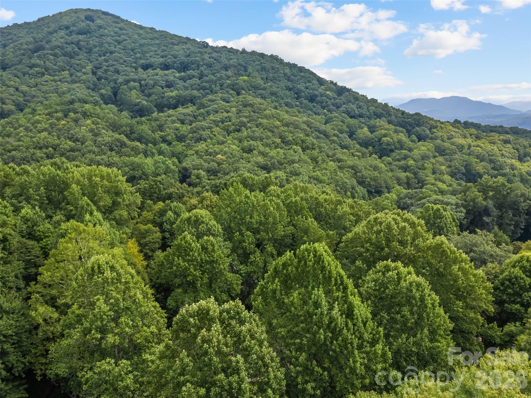 Lot at #16 Sherman Way, Waynesville, photo 6 of 19