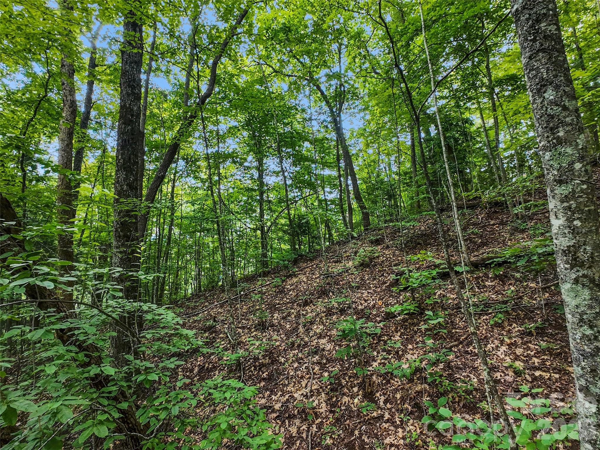 Lot at #16 Sherman Way, Waynesville, photo 9 of 19