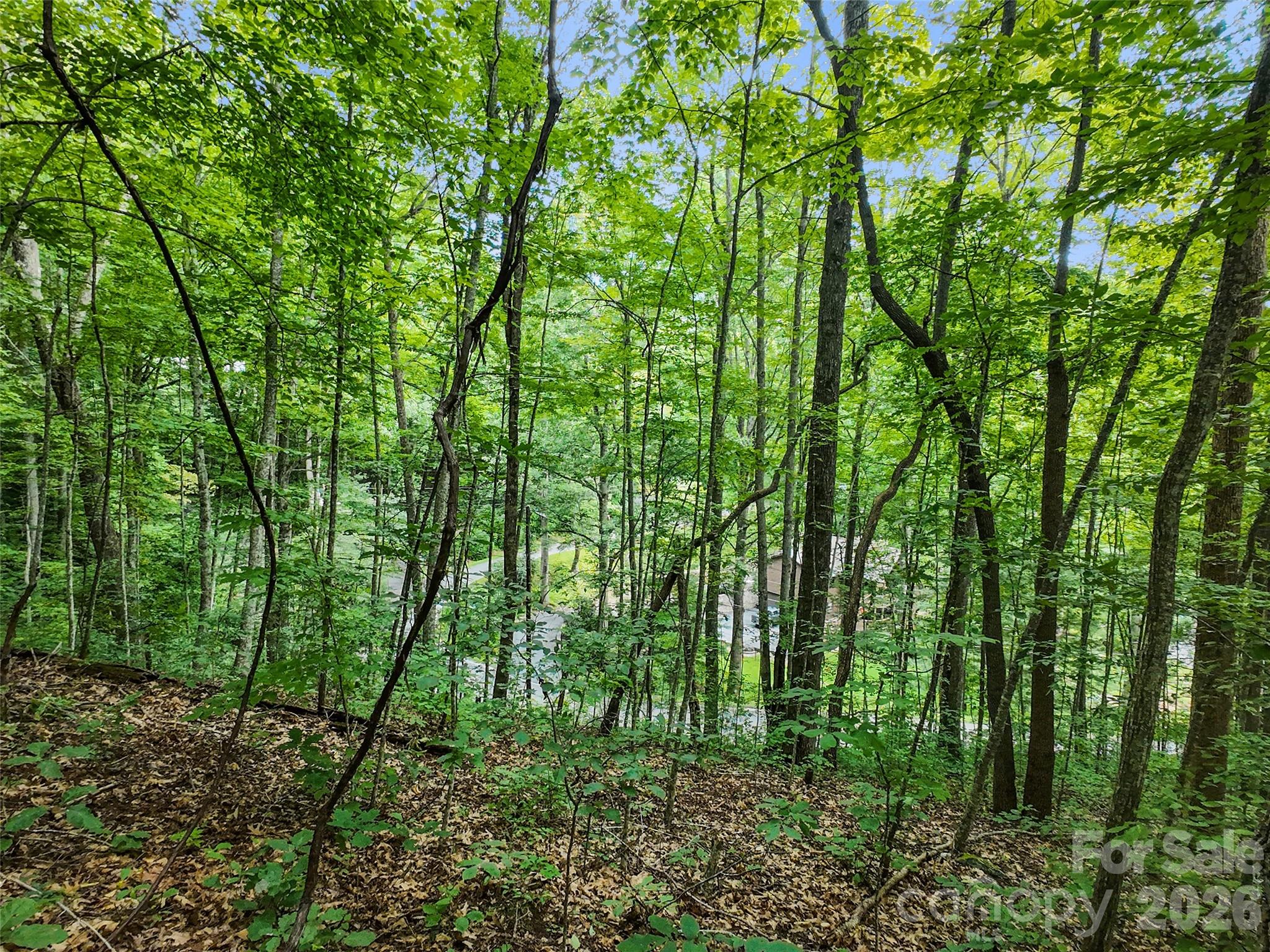 Lot at #16 Sherman Way, Waynesville, photo 10 of 19