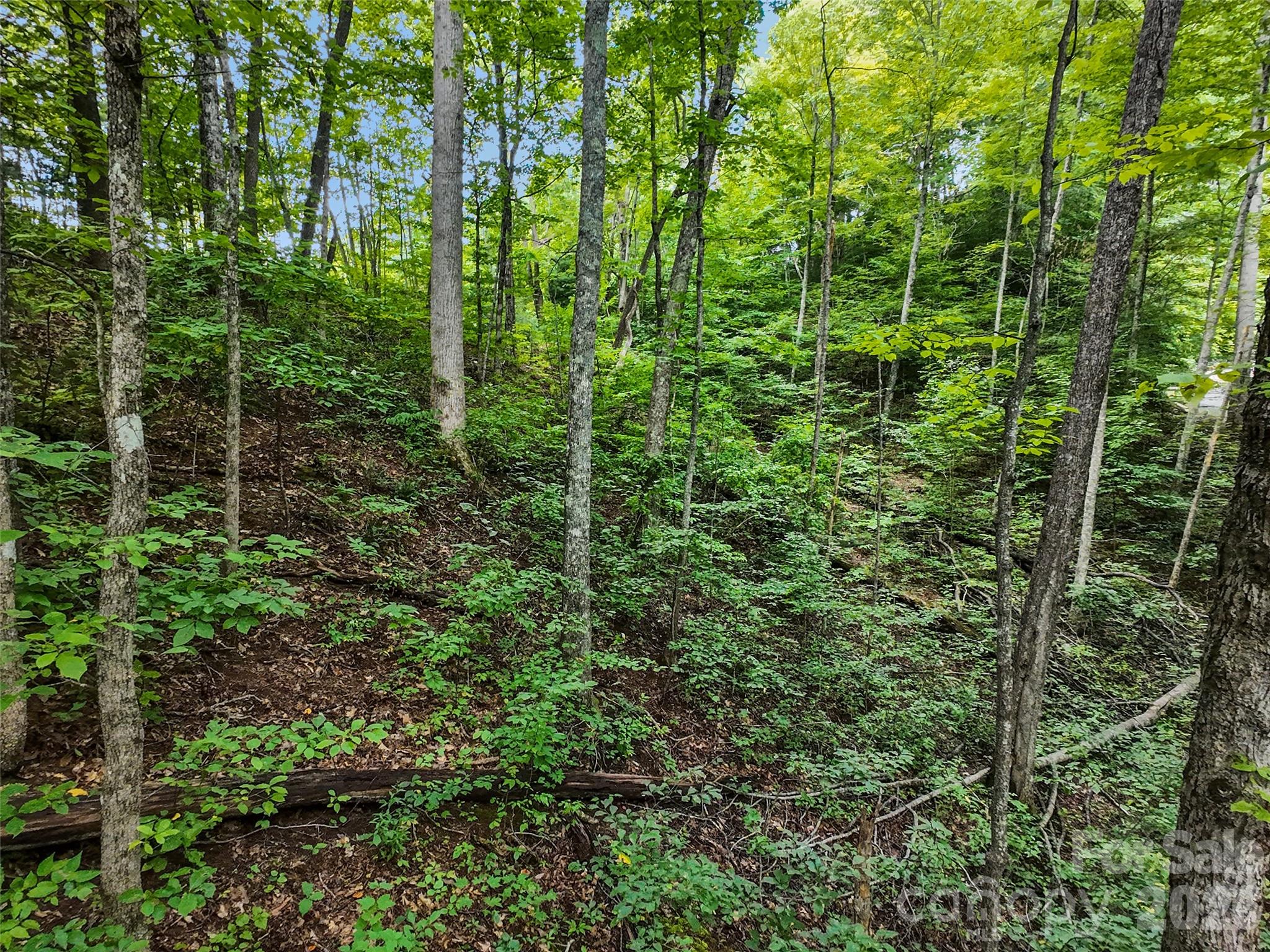 Lot at #16 Sherman Way, Waynesville, photo 11 of 19