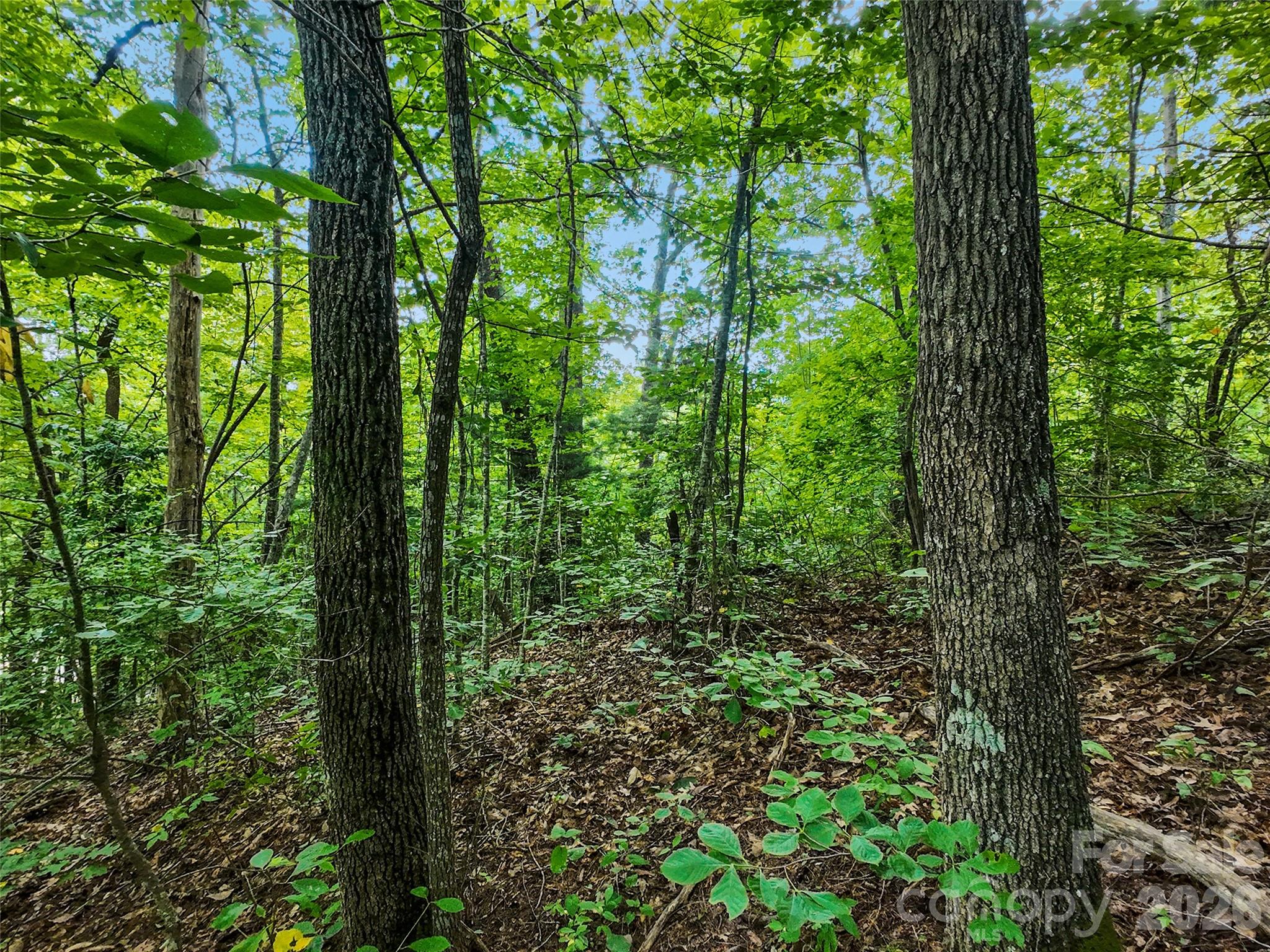 Lot at #16 Sherman Way, Waynesville, photo 12 of 19
