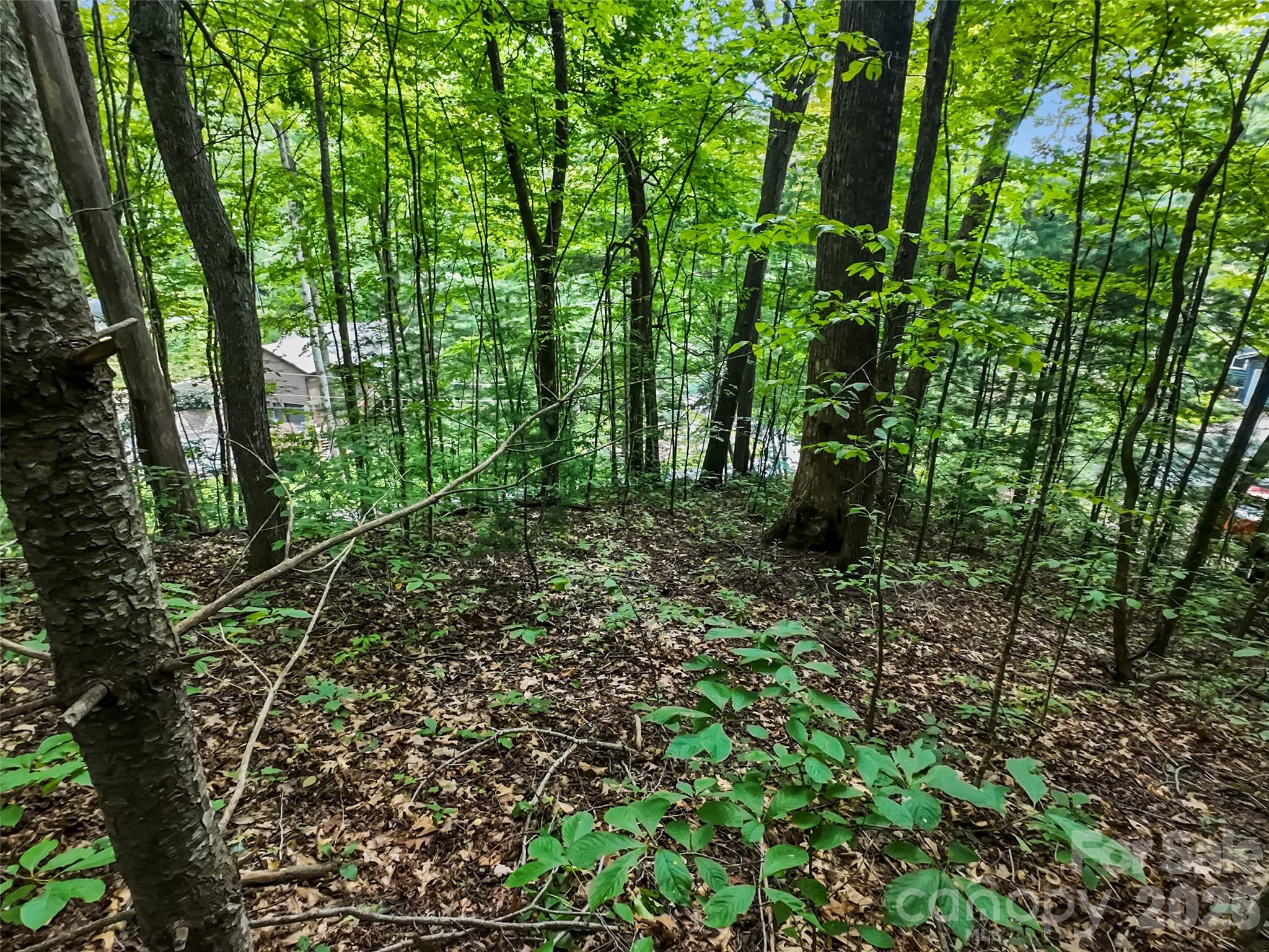 Lot at #16 Sherman Way, Waynesville, photo 15 of 19