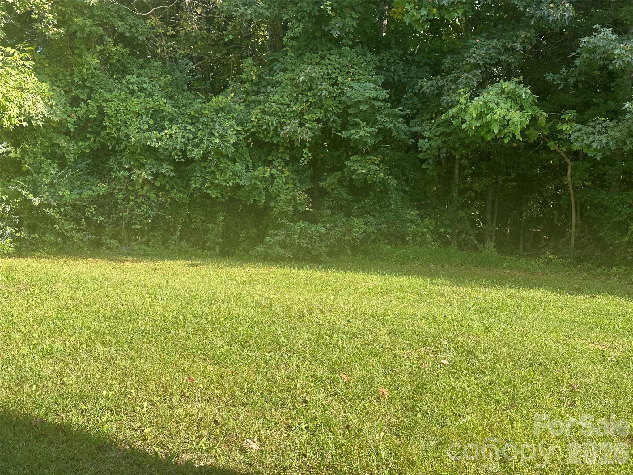 Back yard - 4002 Frank Vance Road, Charlotte