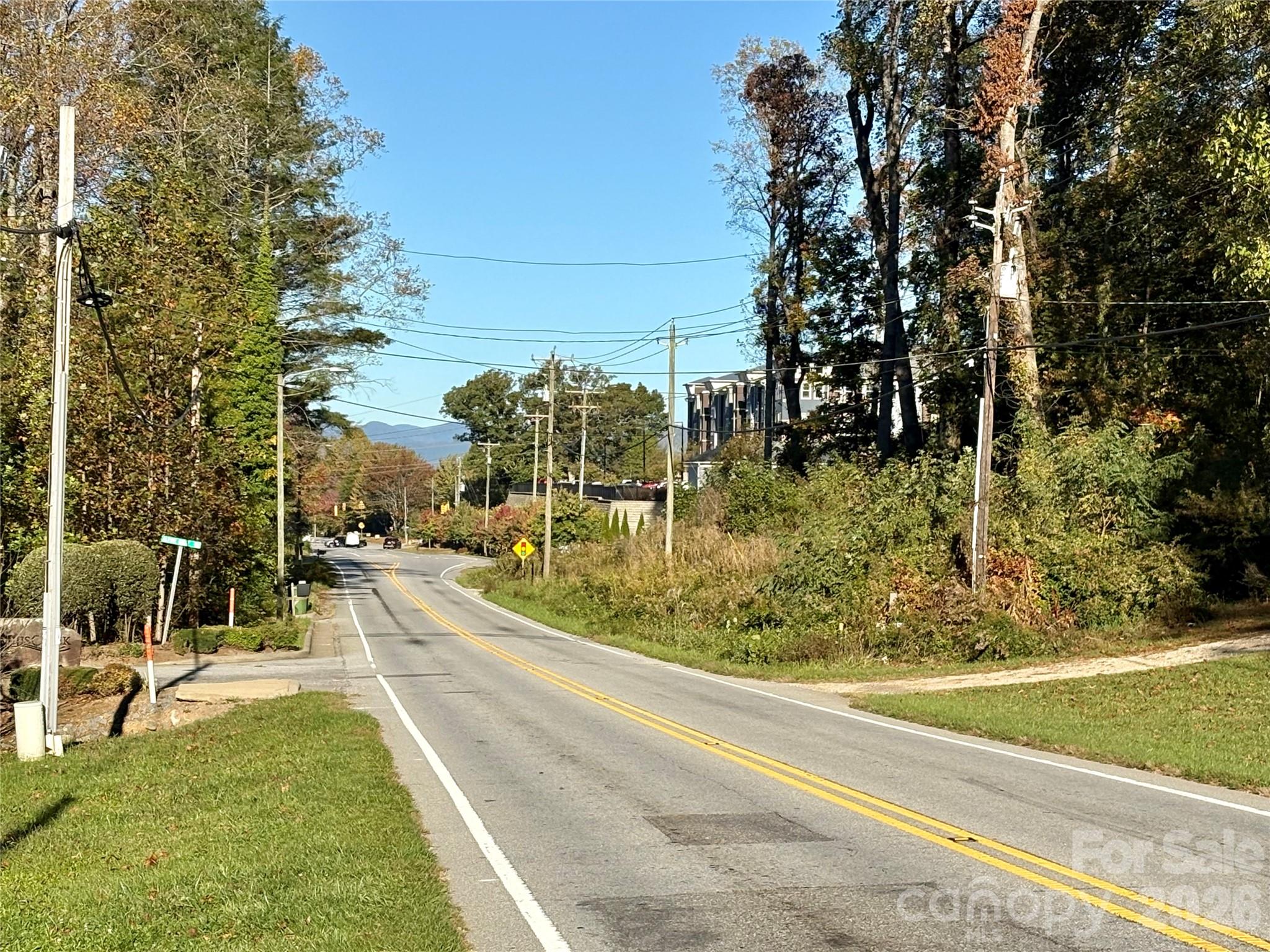 Unimproved Commercial at 89 Mills Gap Road, Asheville, photo 3 of 22