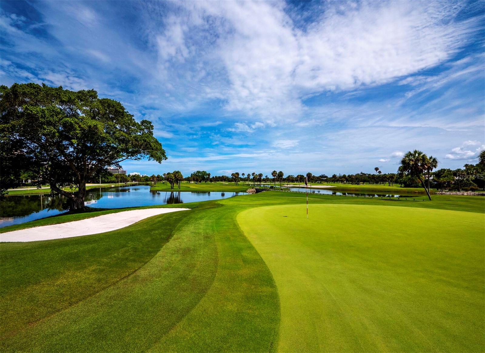The Longboat Key Club links - 455 LONGBOAT CLUB RD #402, LONGBOAT KEY