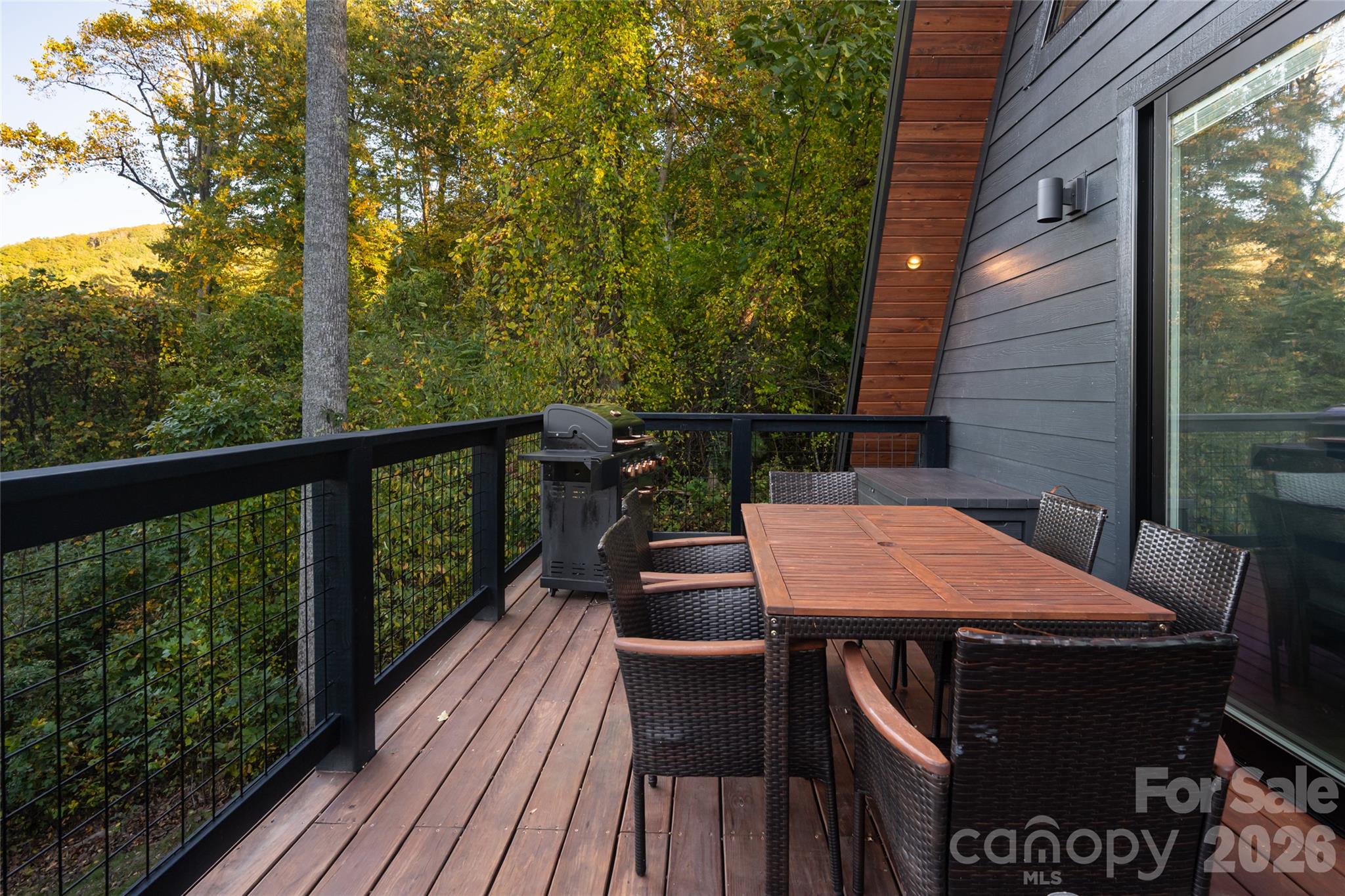 Plenty of space to grill and dine outdoors - 125 Carolina Lily Lane, Asheville
