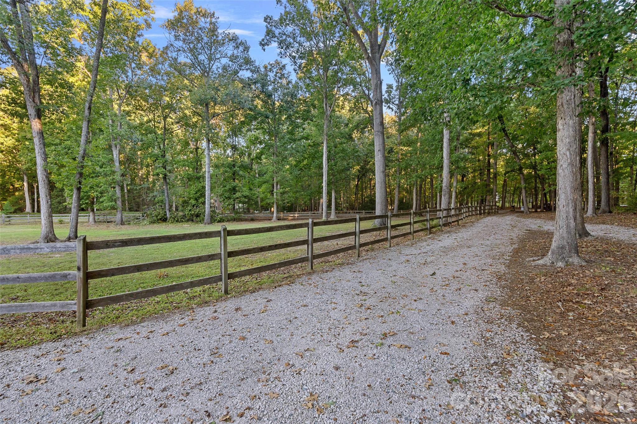 Driveway - 8609 Laurelwood Lane, Waxhaw