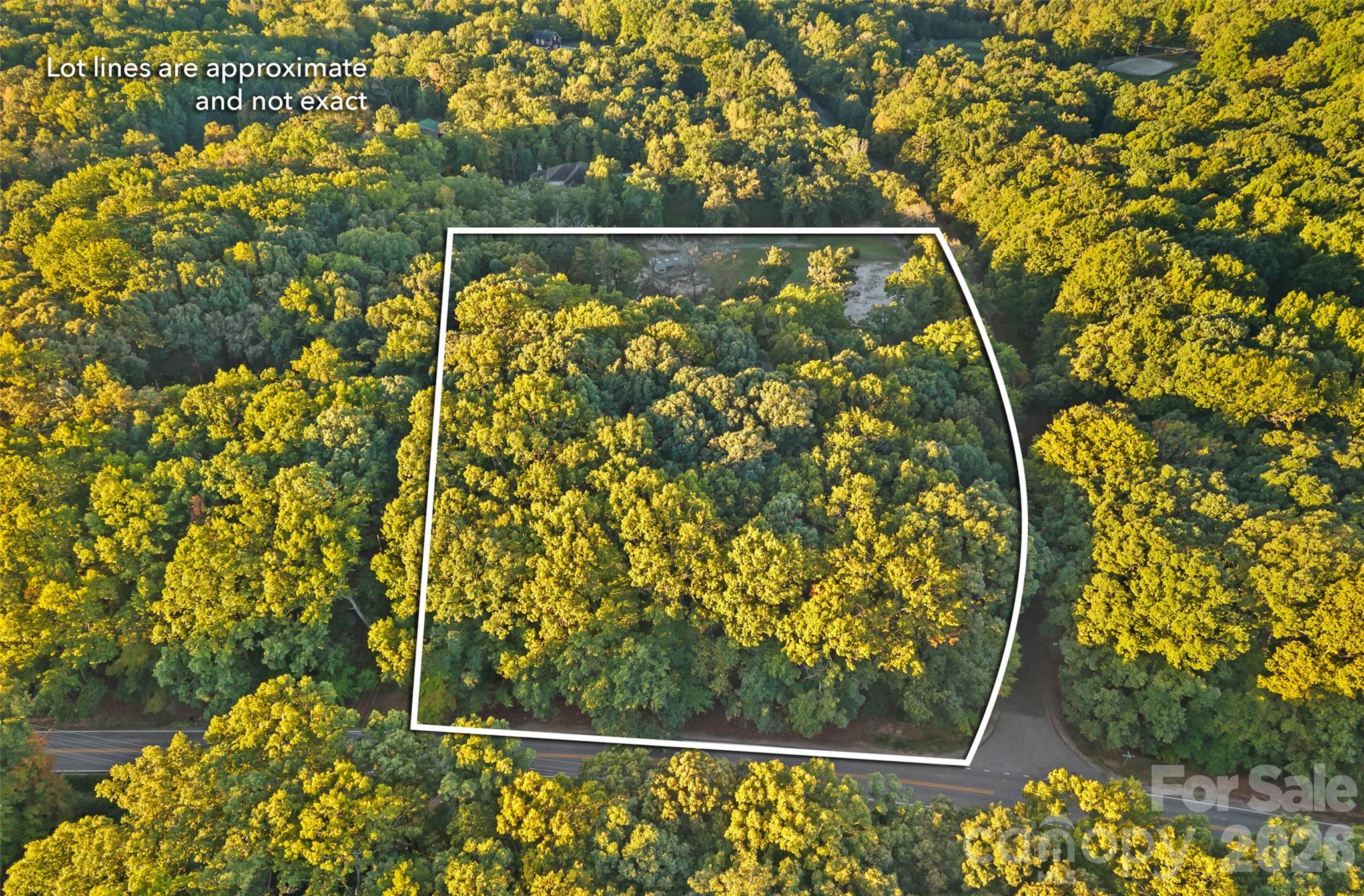 Ariel view - 8609 Laurelwood Lane, Waxhaw
