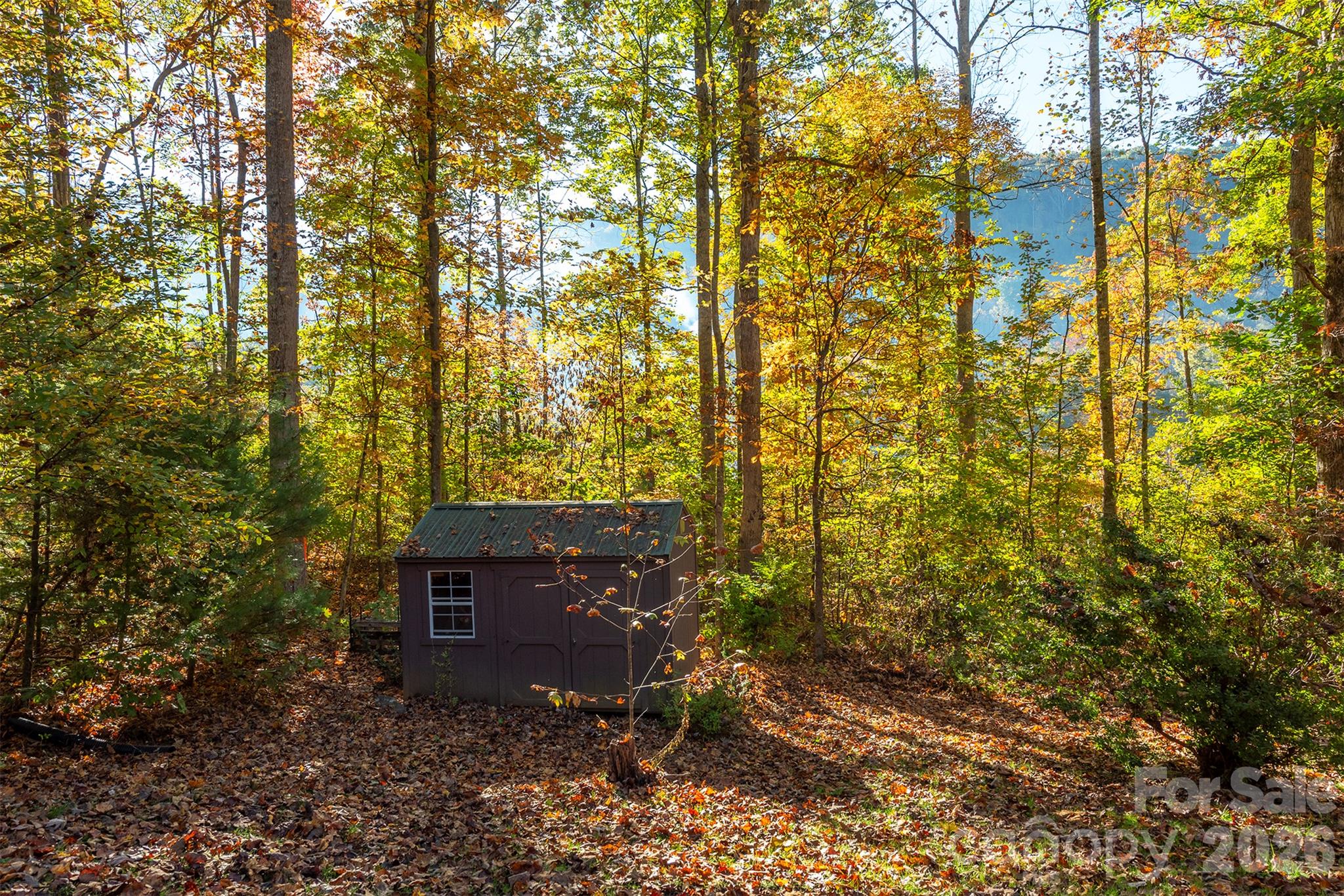 Single Family Residence at 418 Sunshine Cove Road, Waynesville, photo 35 of 37