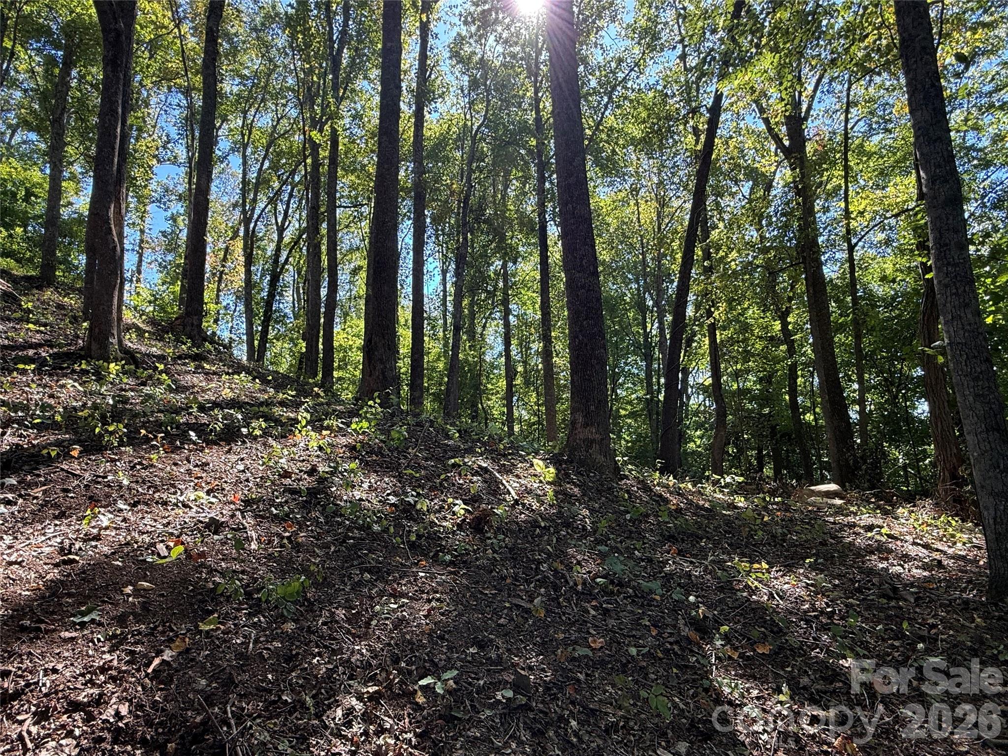 Lot at 9999 Elk Ridge Drive, Asheville, photo 5 of 20